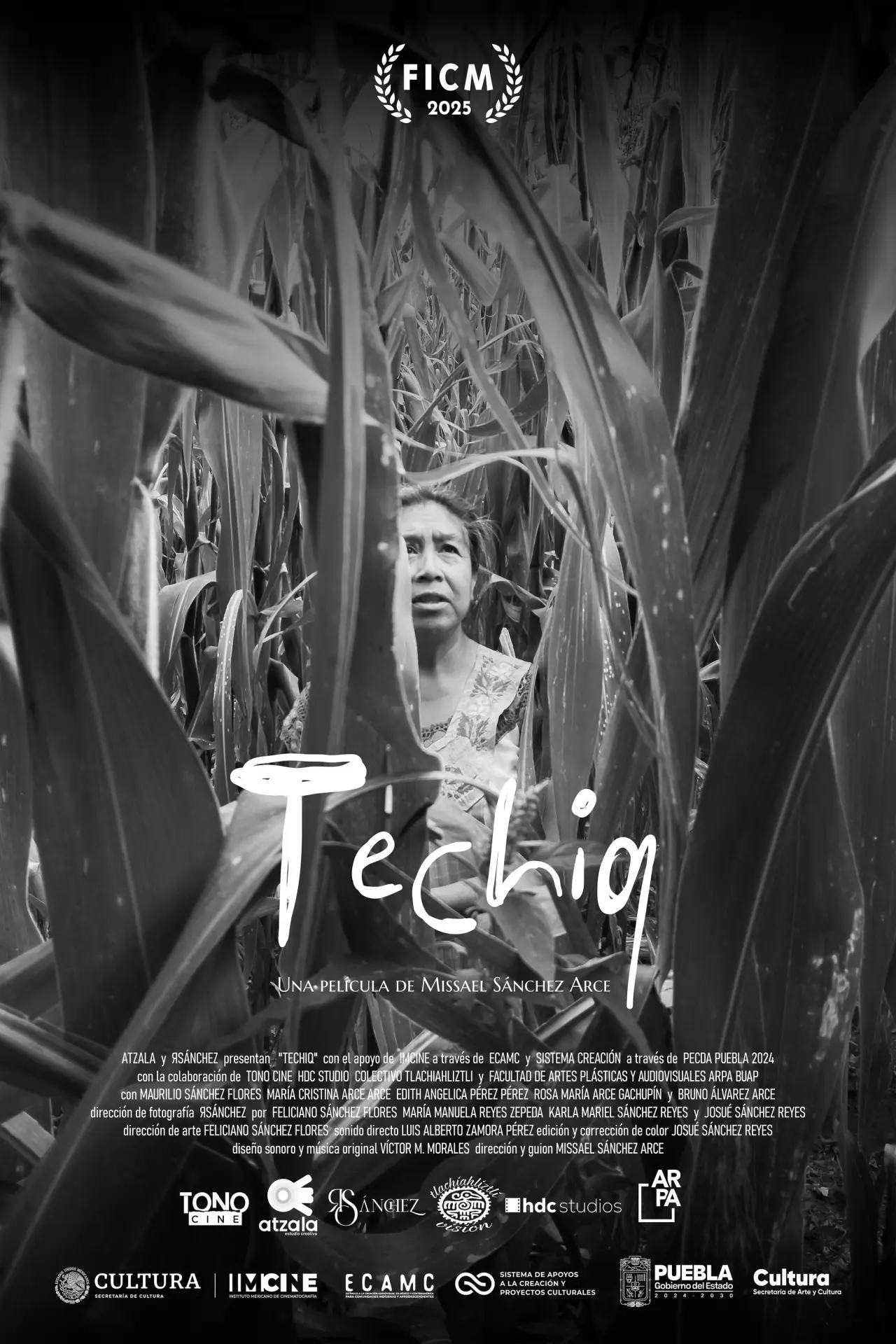 Постер к фильму "Techiq"