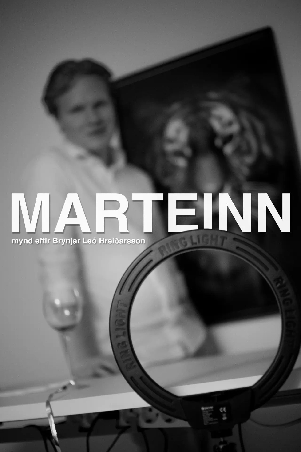 Постер к фильму "Marteinn"