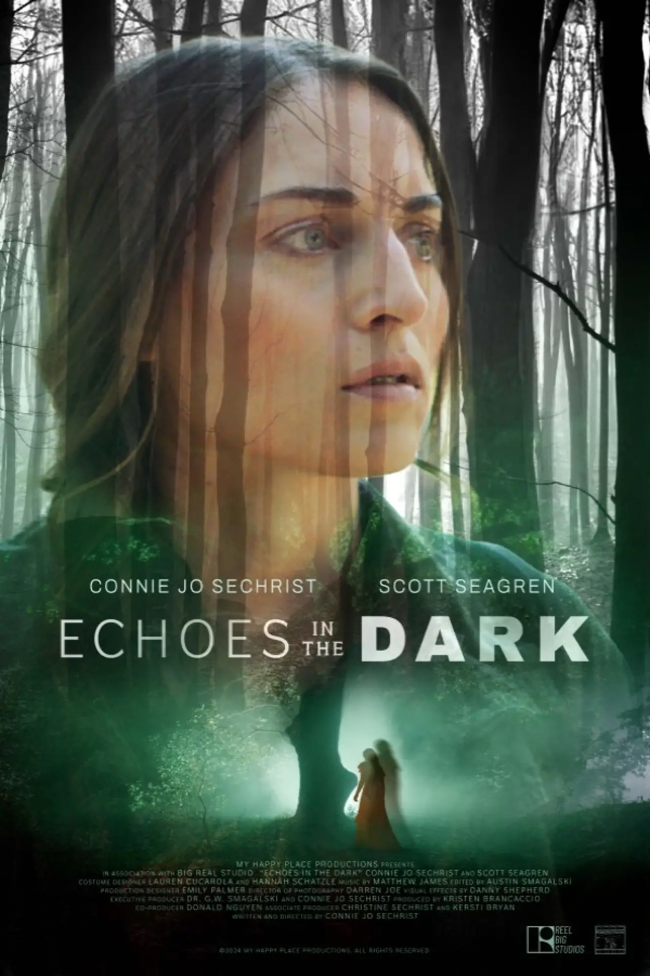Постер к фильму "Echoes in the Dark"