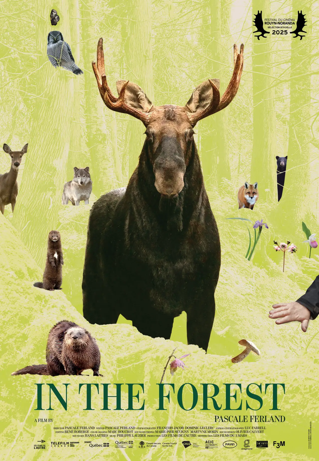 Постер к фильму "Dans la forêt"