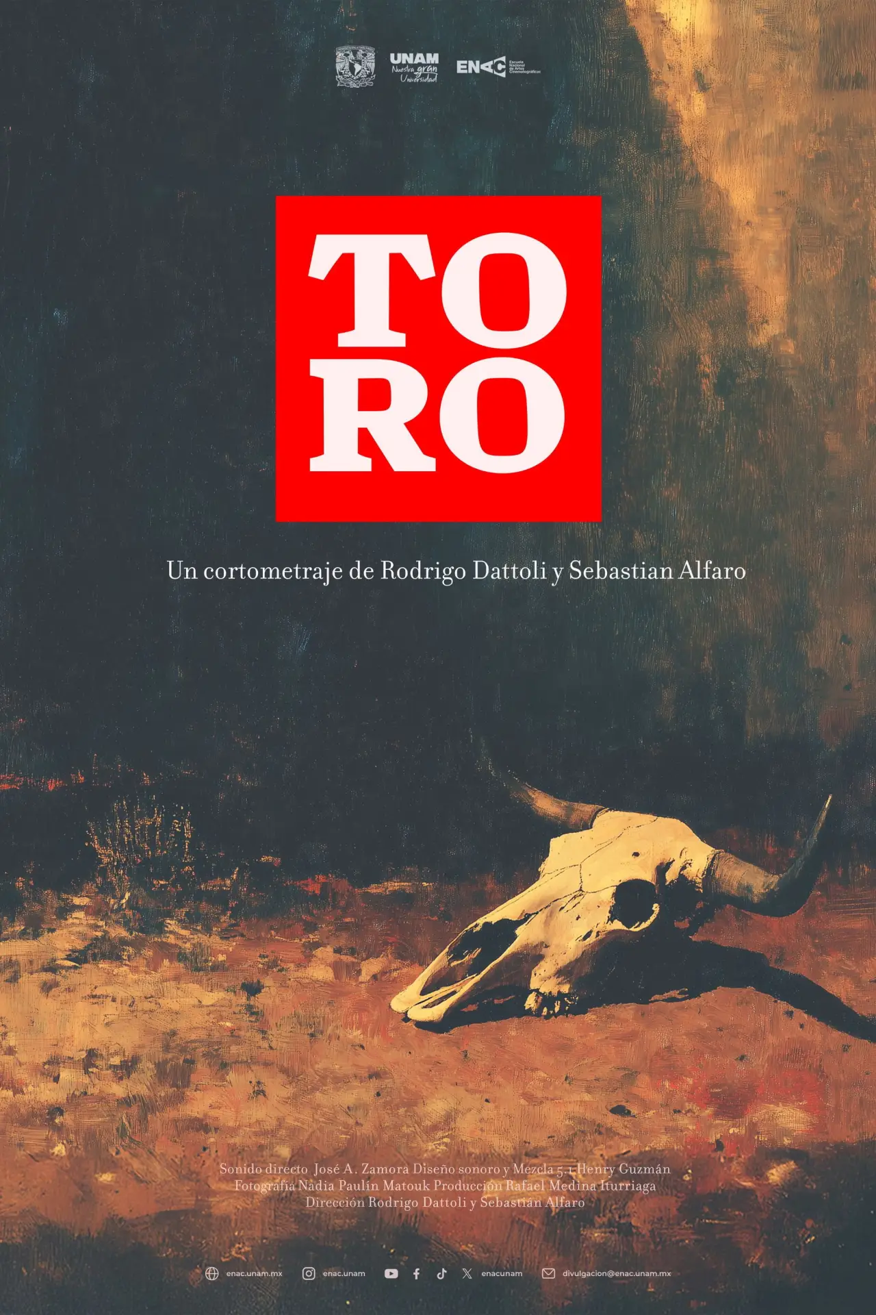 Постер к фильму "Toro"