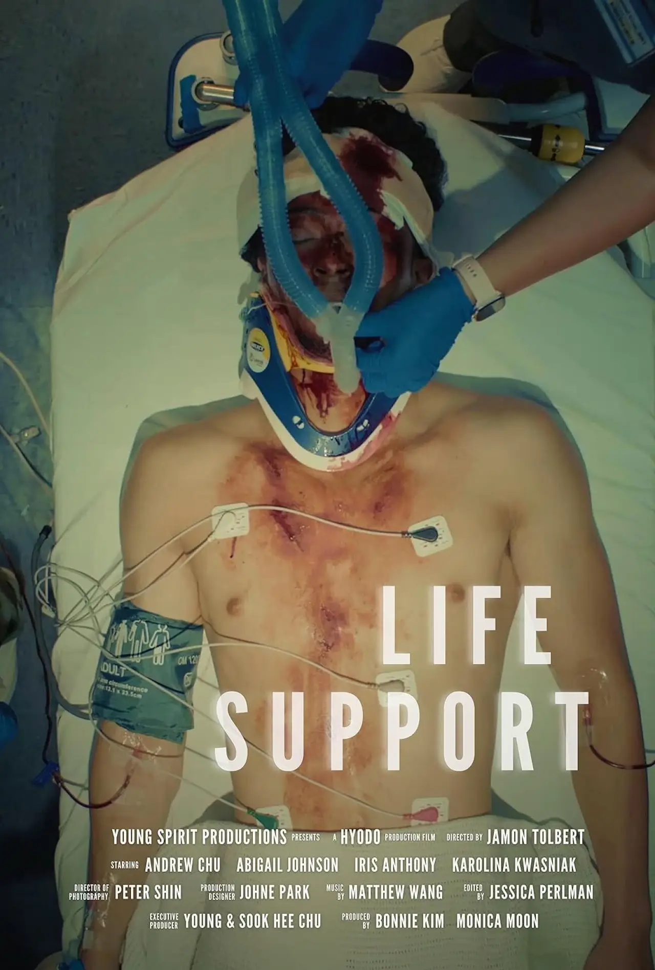 Постер к фильму "Life Support"