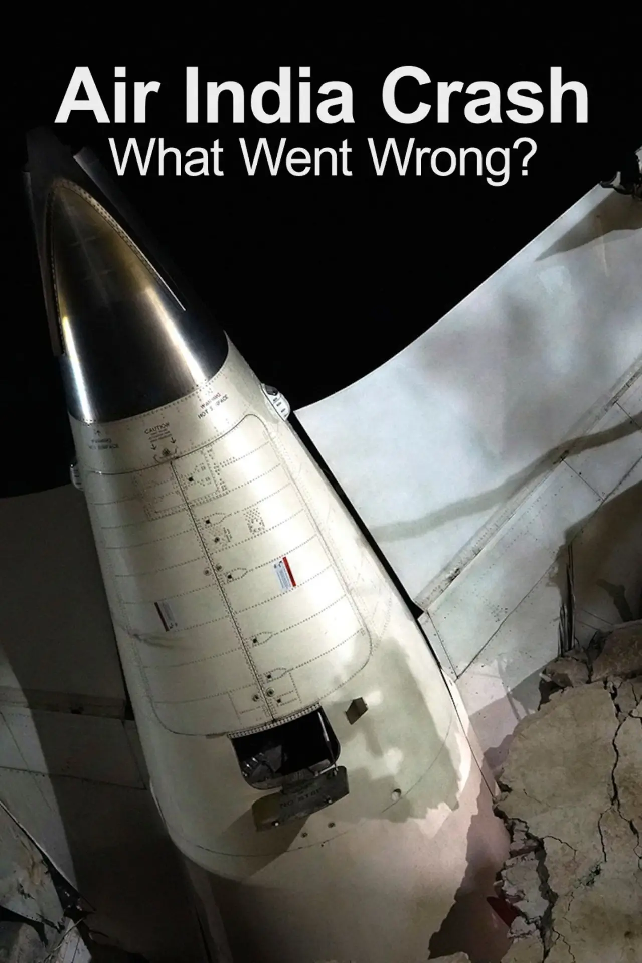 Постер к фильму "Air India Crash: What Went Wrong?"