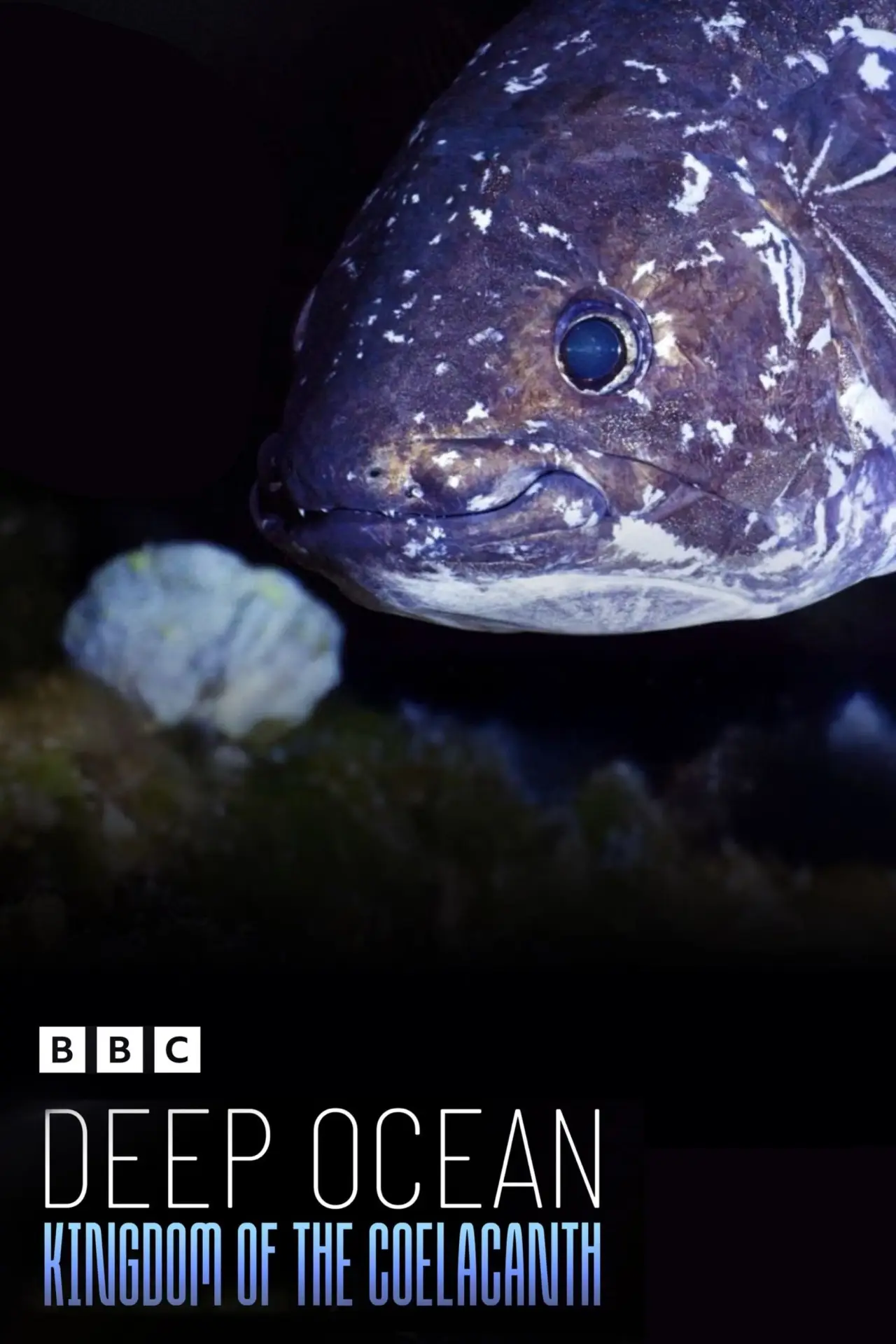 Постер к фильму "Deep Ocean: Kingdom of the Coelacanth"
