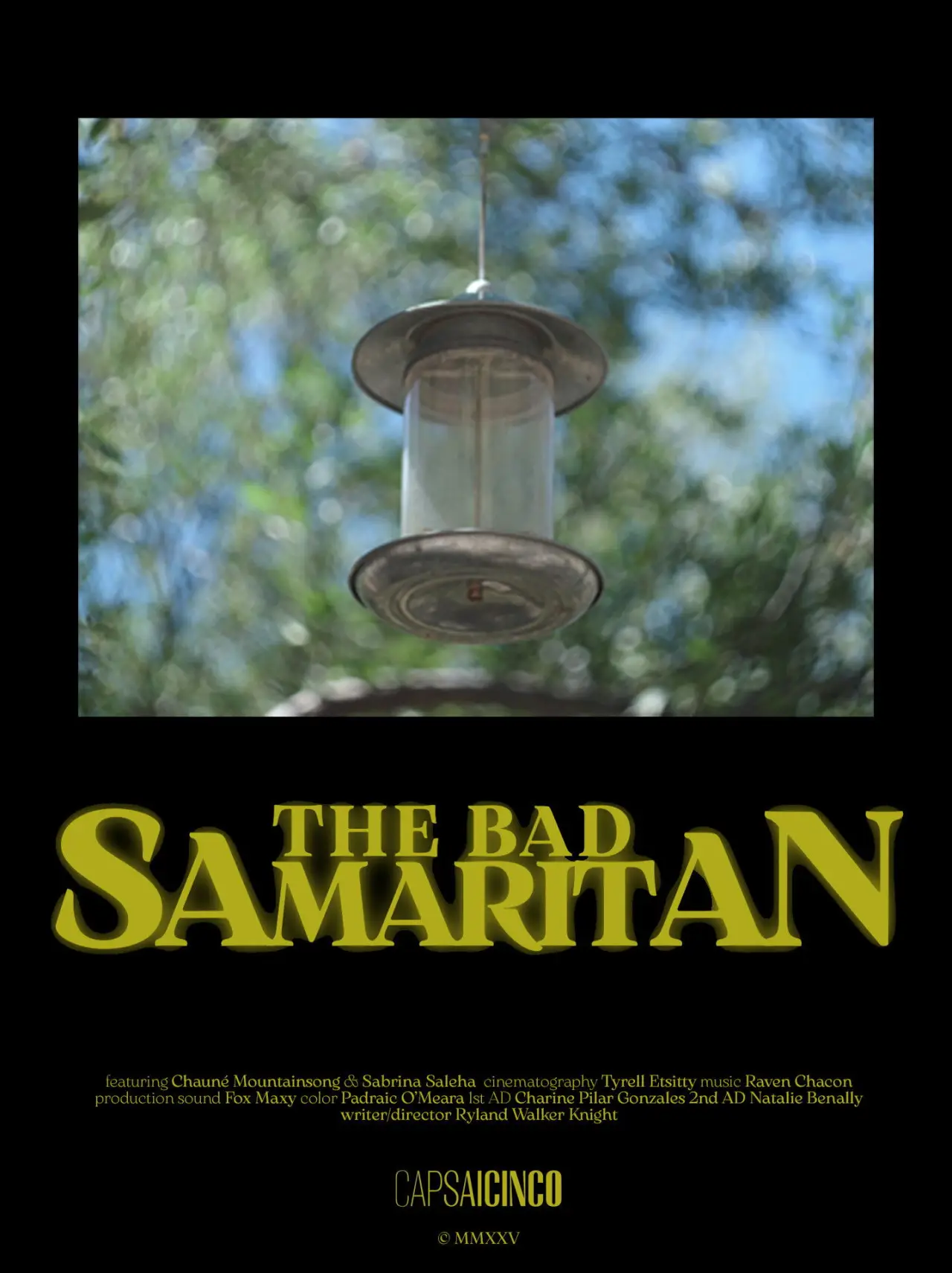 Постер к фильму "The Bad Samaritan"