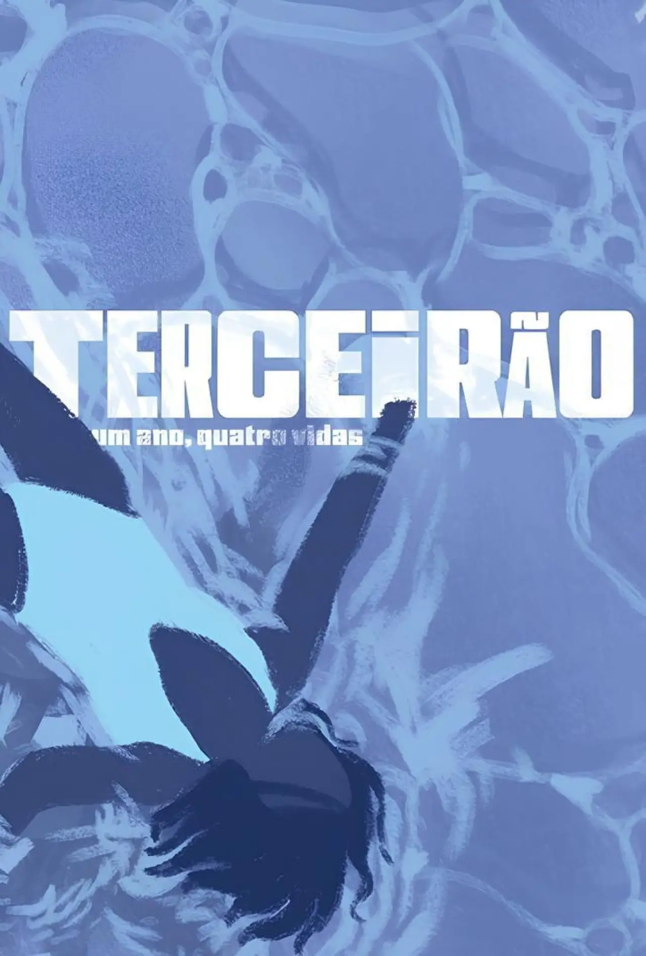Постер к фильму "Terceirão - Um Ano, Quatro Vidas"