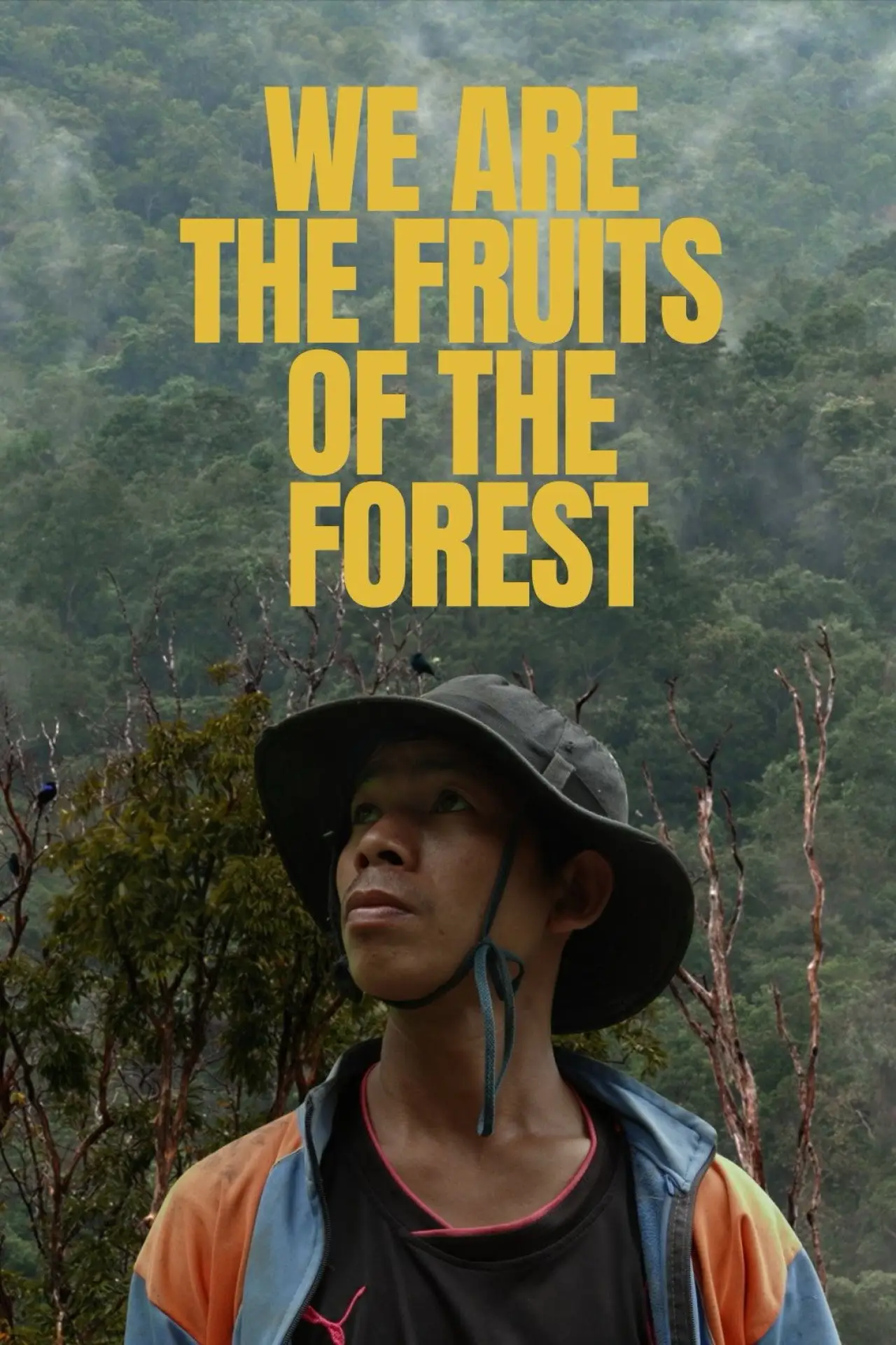 Постер к фильму "Nous Sommes les Fruits de la Forêt"