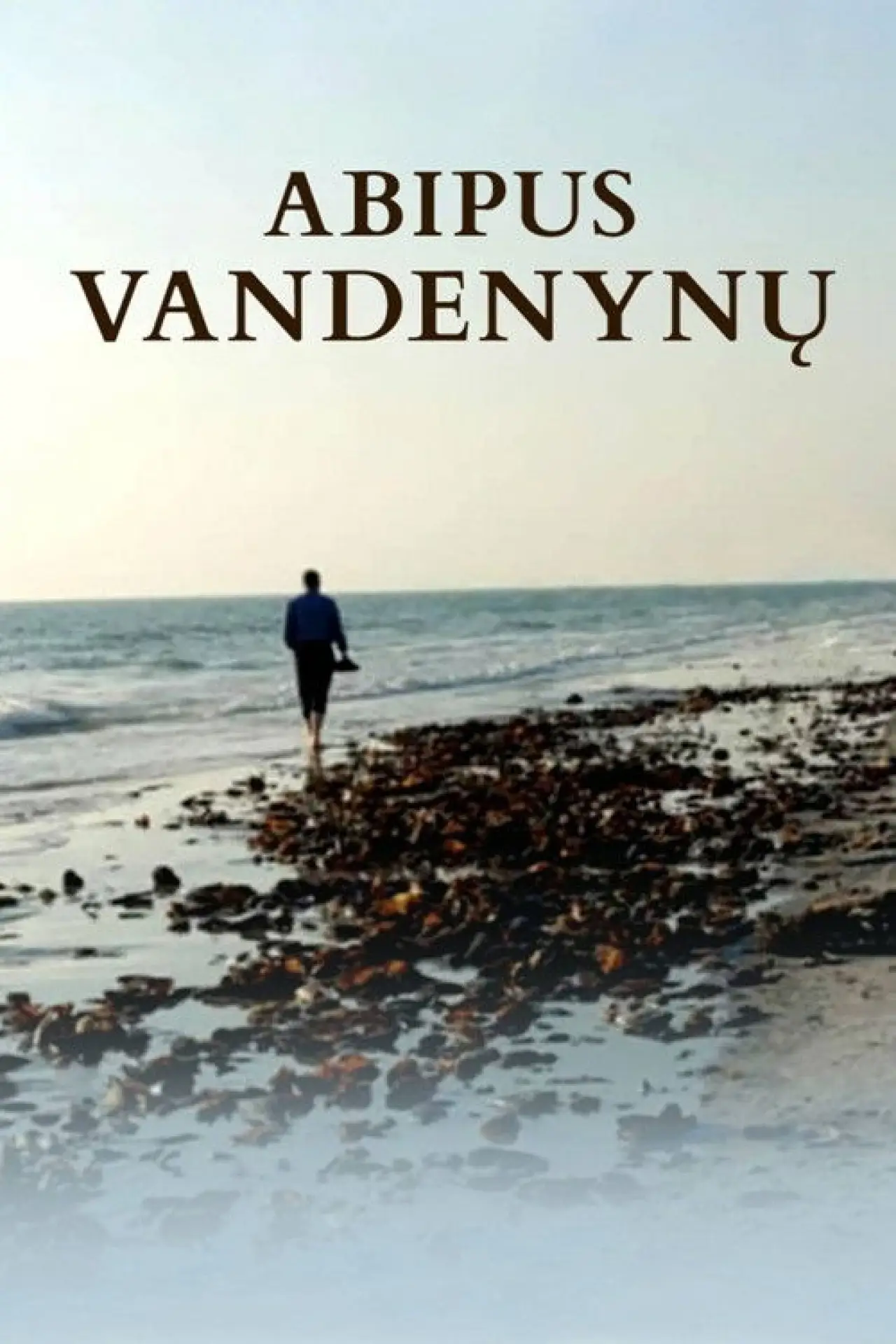 Постер к фильму "Abipus vandenynų"
