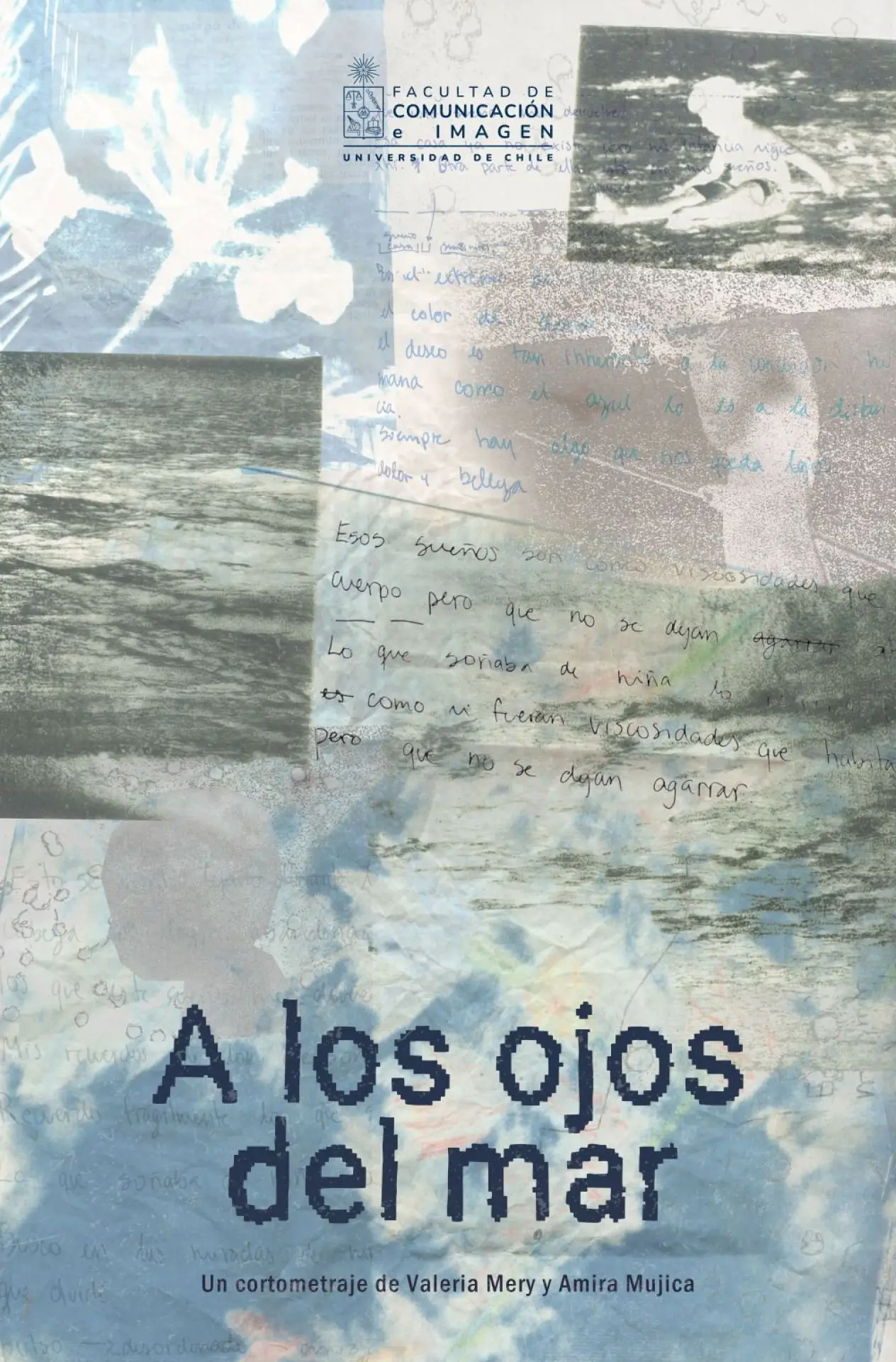 Постер к фильму "A los ojos del mar"