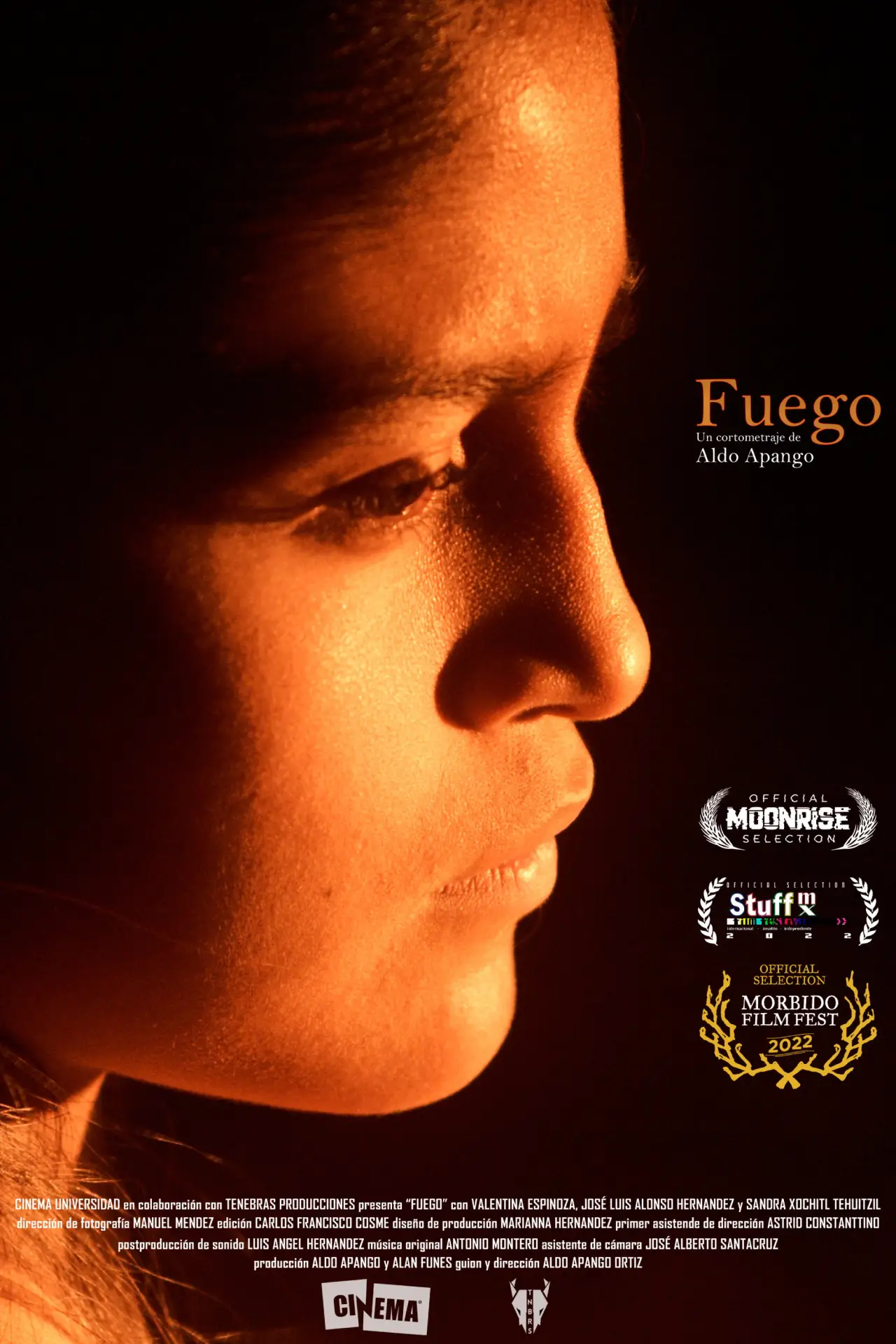 Постер к фильму "FUEGO"