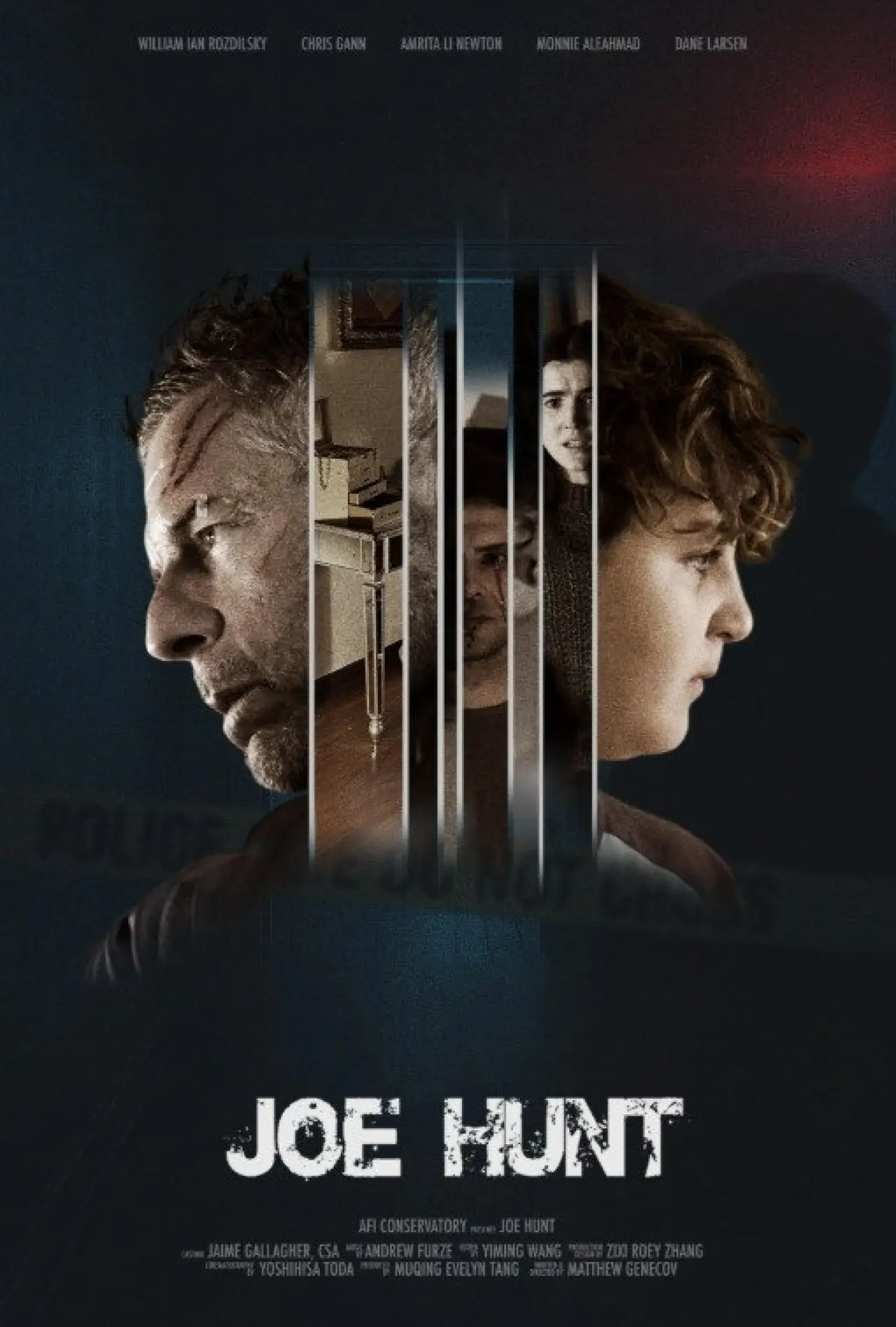 Постер к фильму "Joe Hunt"