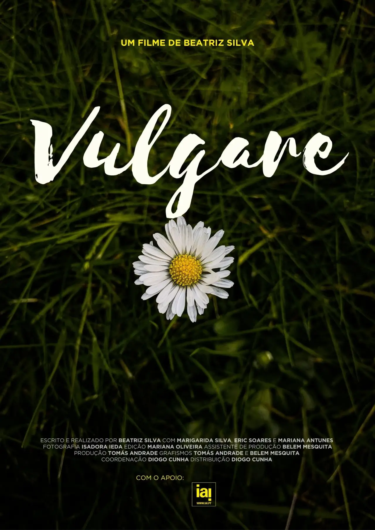 Постер к фильму "Vulgare"