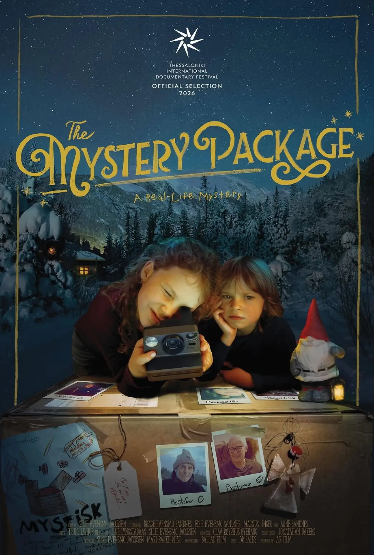 Постер к фильму "The Mystery Package"
