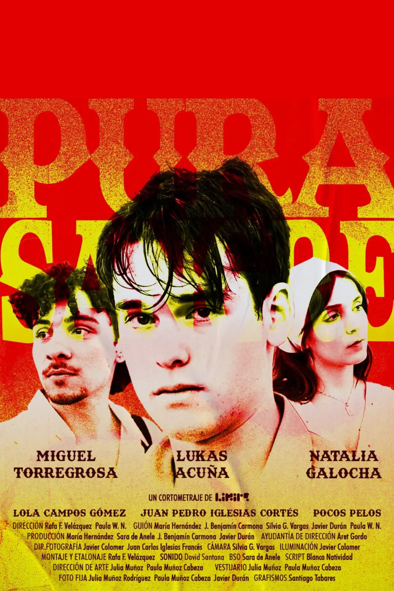 Постер к фильму "Pura Sangre"