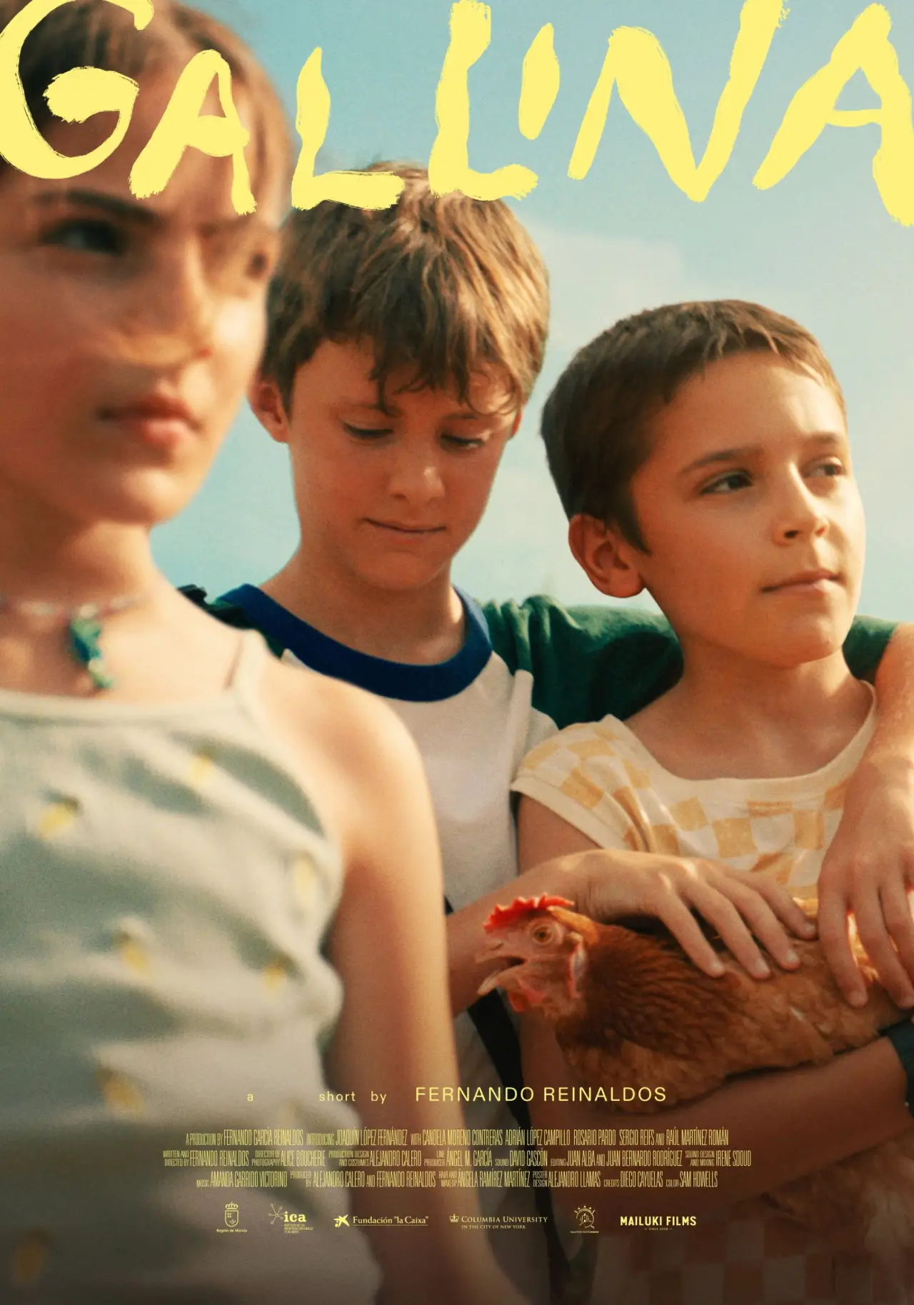 Постер к фильму "Gallina"