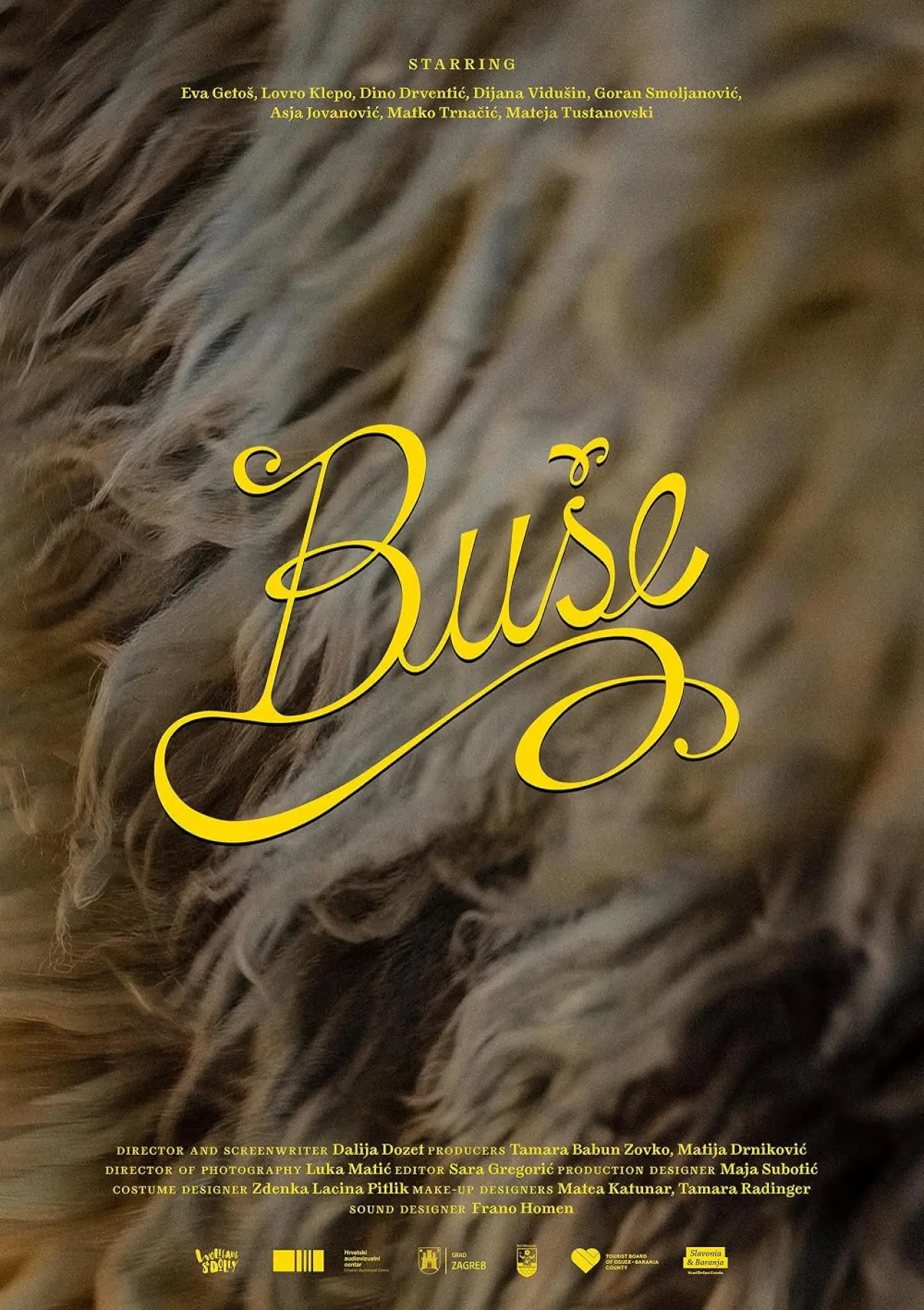 Постер к фильму "Bushe"