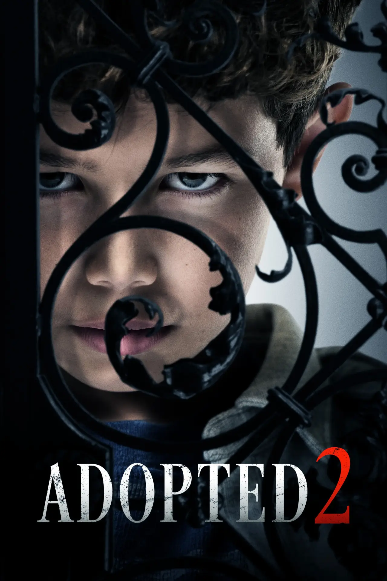 Постер к фильму "Adopted 2"