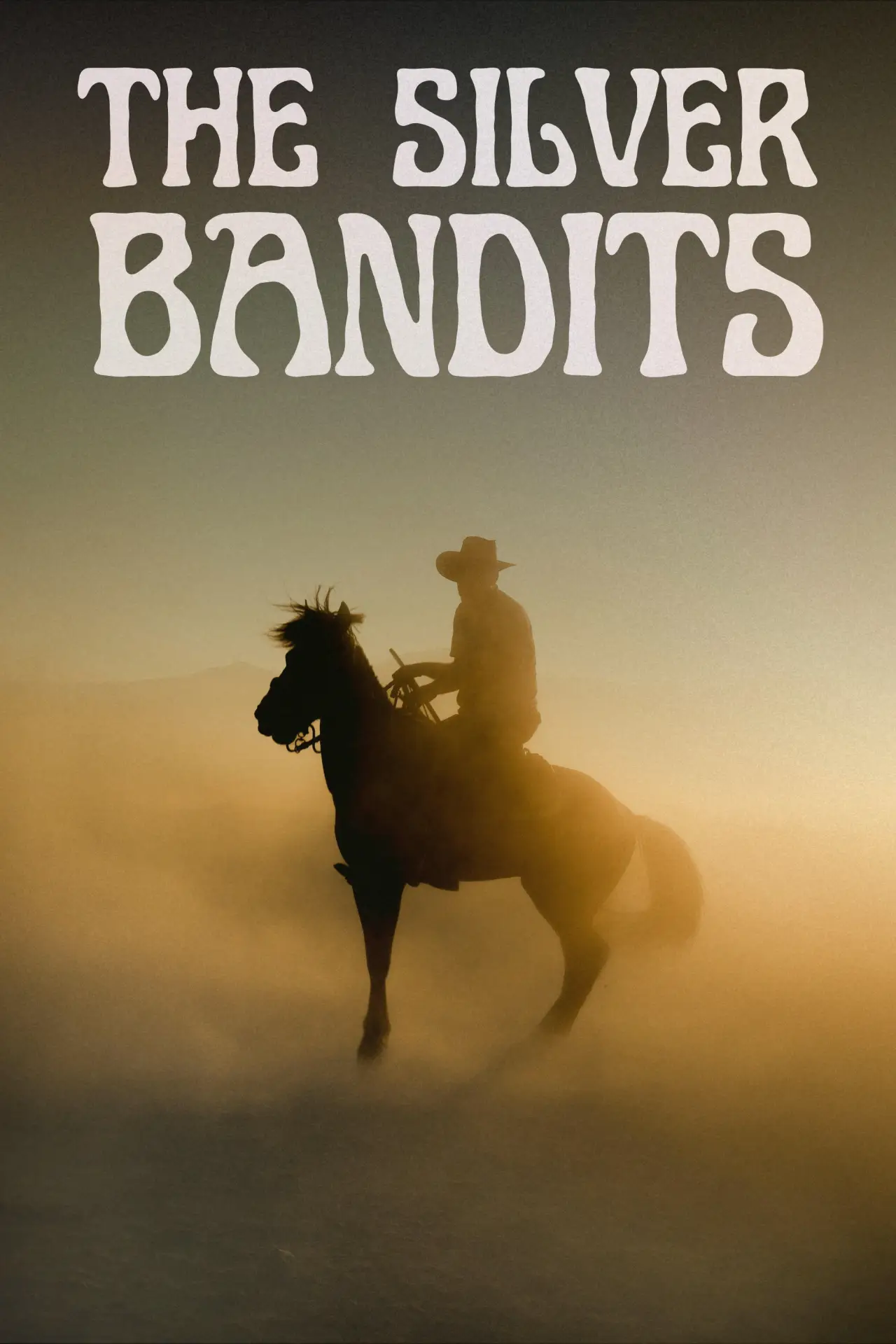 Постер к фильму "The Silver Bandits"