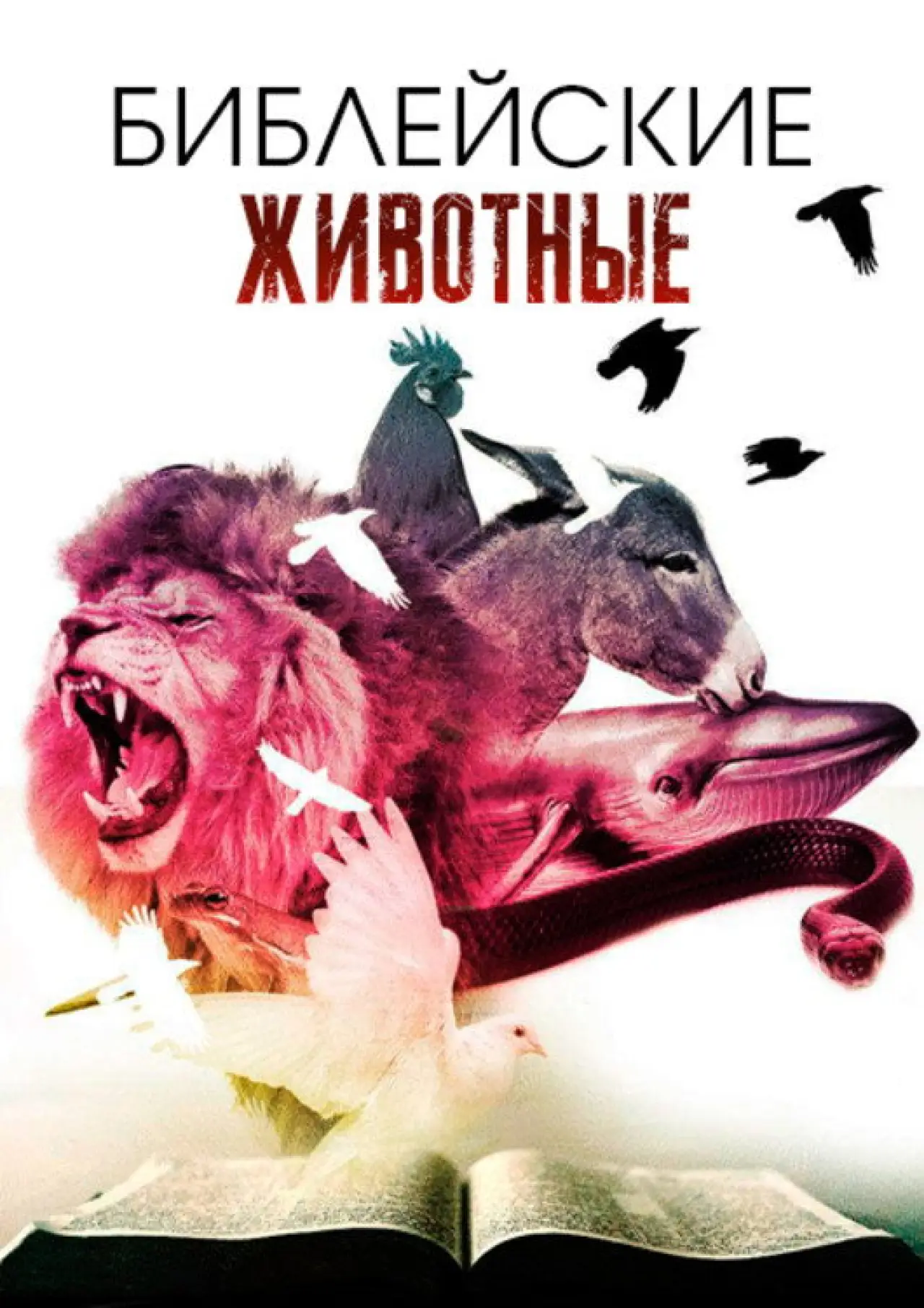 Постер к фильму "Библейские животные"