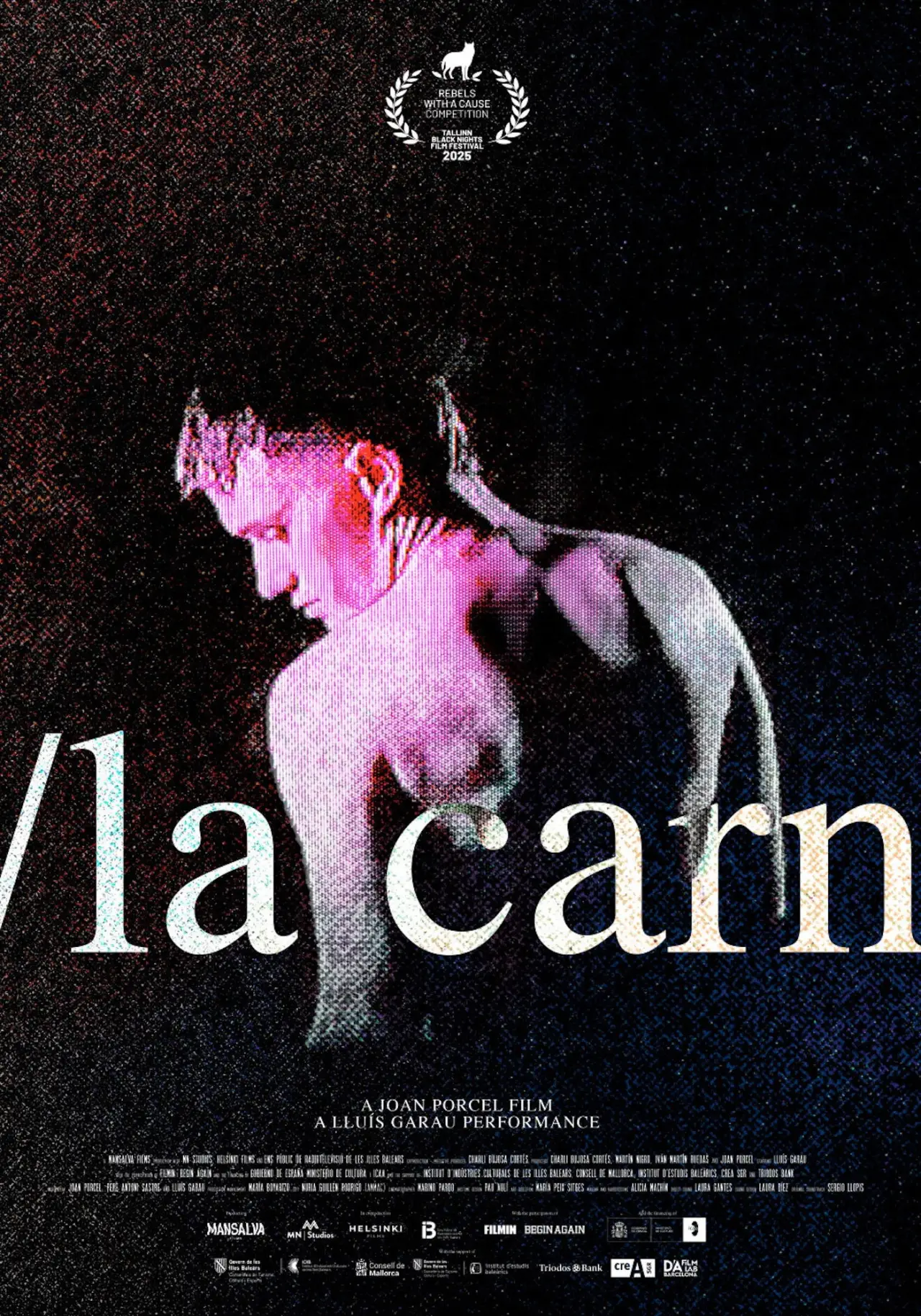 Постер к фильму "La Carn"
