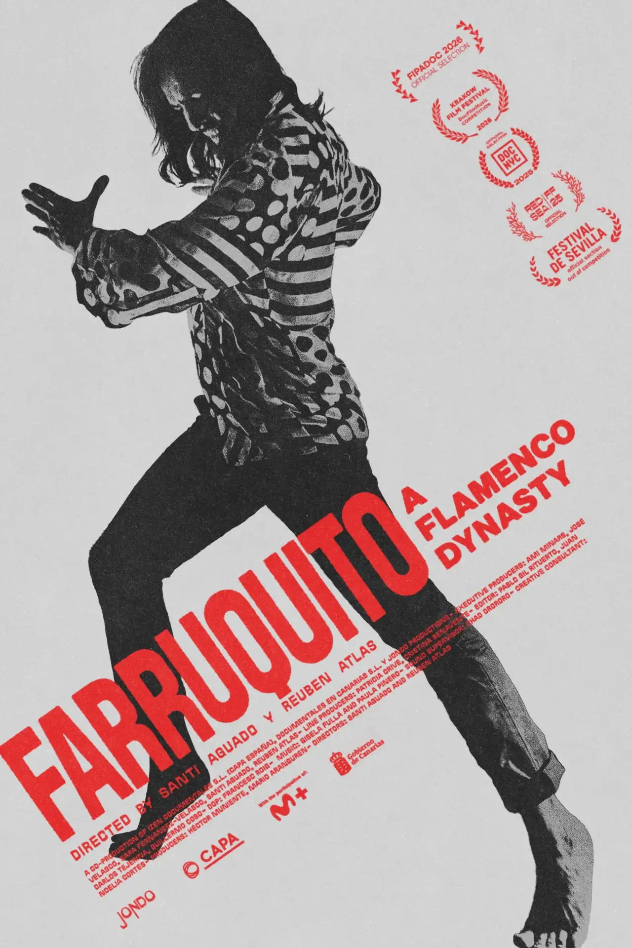 Постер к фильму "Serás Farruquito"