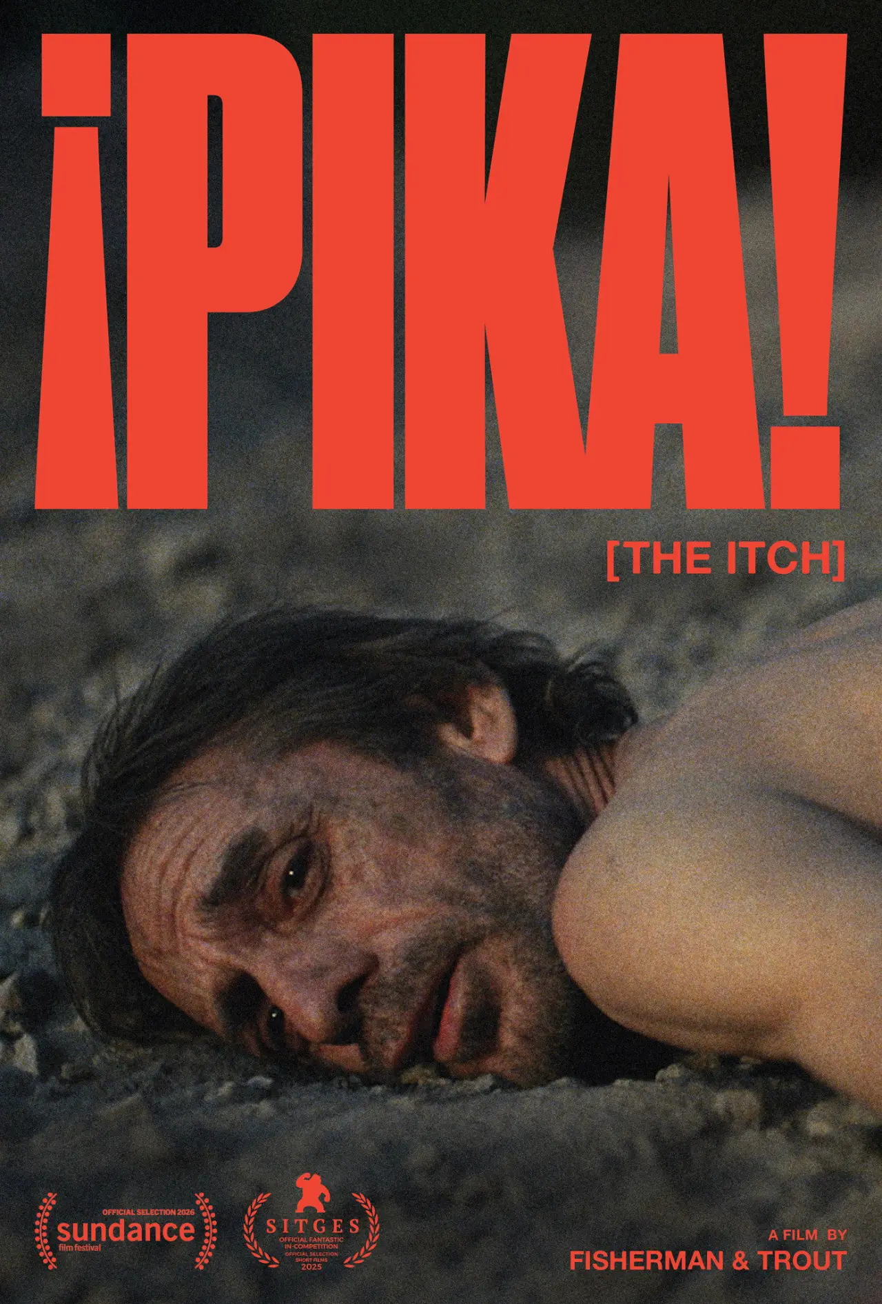 Постер к фильму "¡PIKA!"