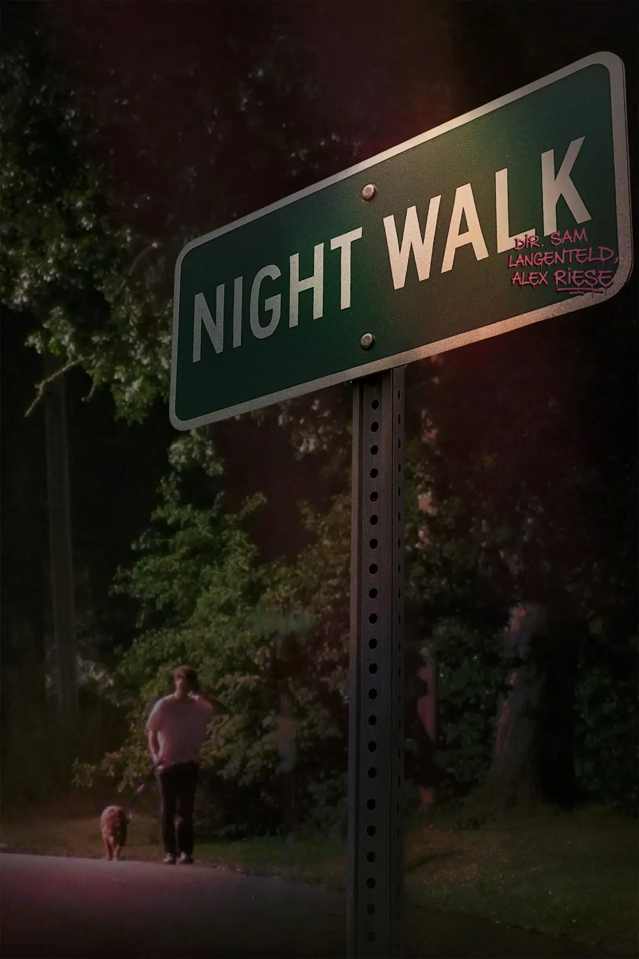 Постер к фильму "Night Walk"