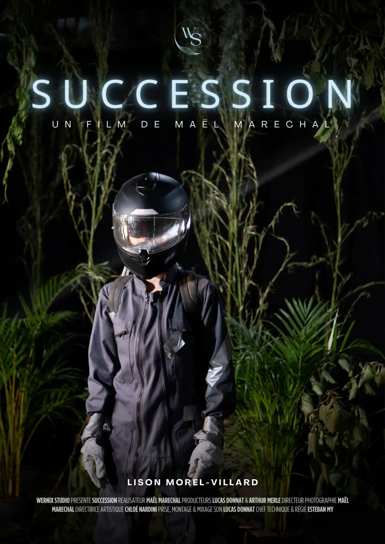 Постер к фильму "Succession"