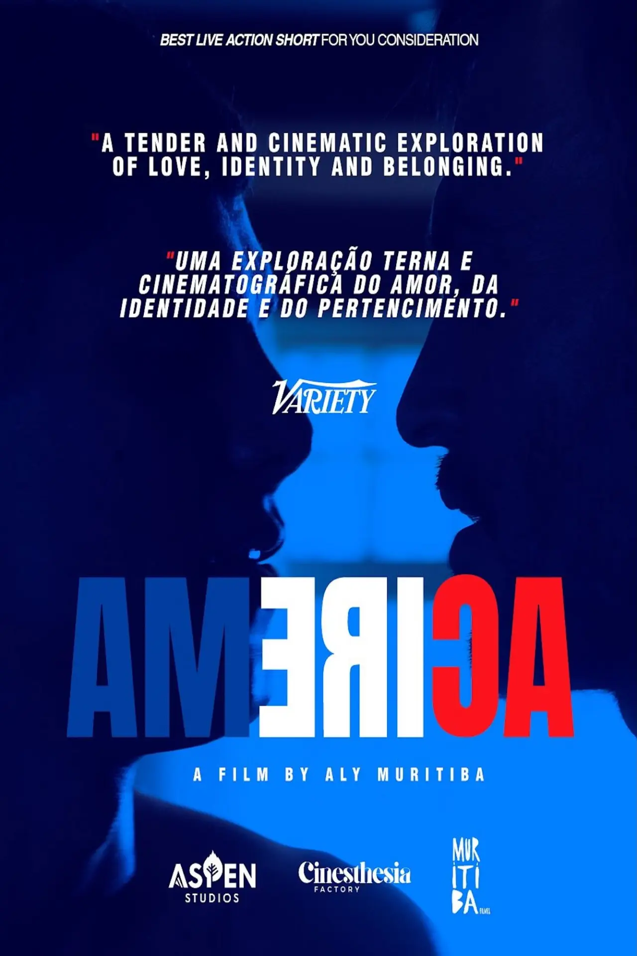 Постер к фильму "America"