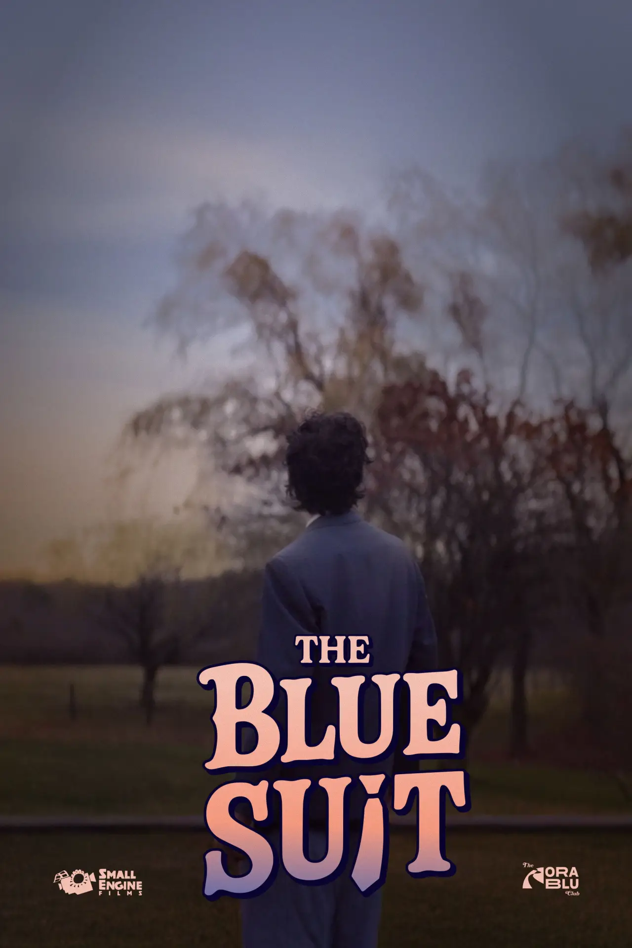 Постер к фильму "The Blue Suit"
