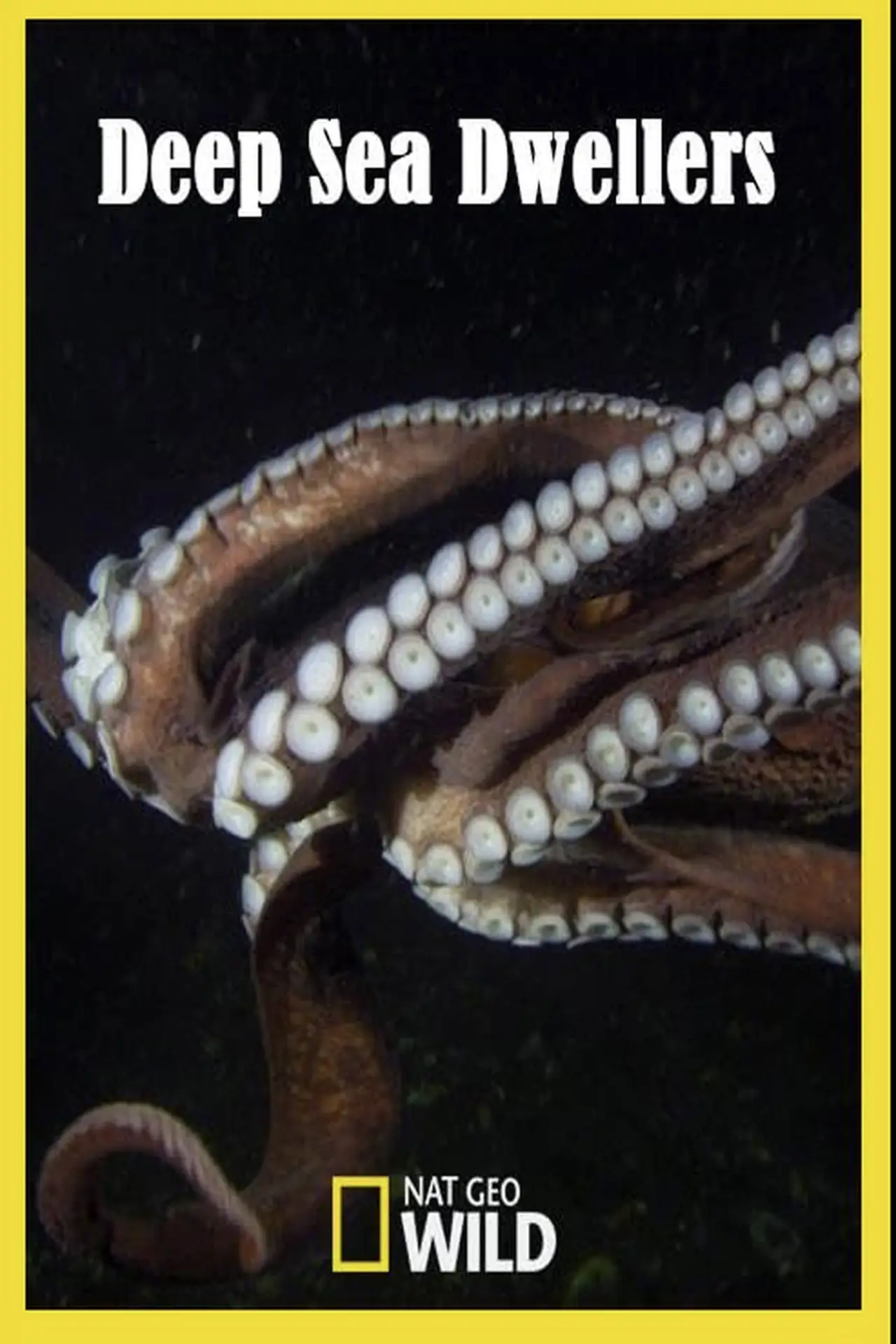 Постер к фильму "Deep Sea Dwellers"