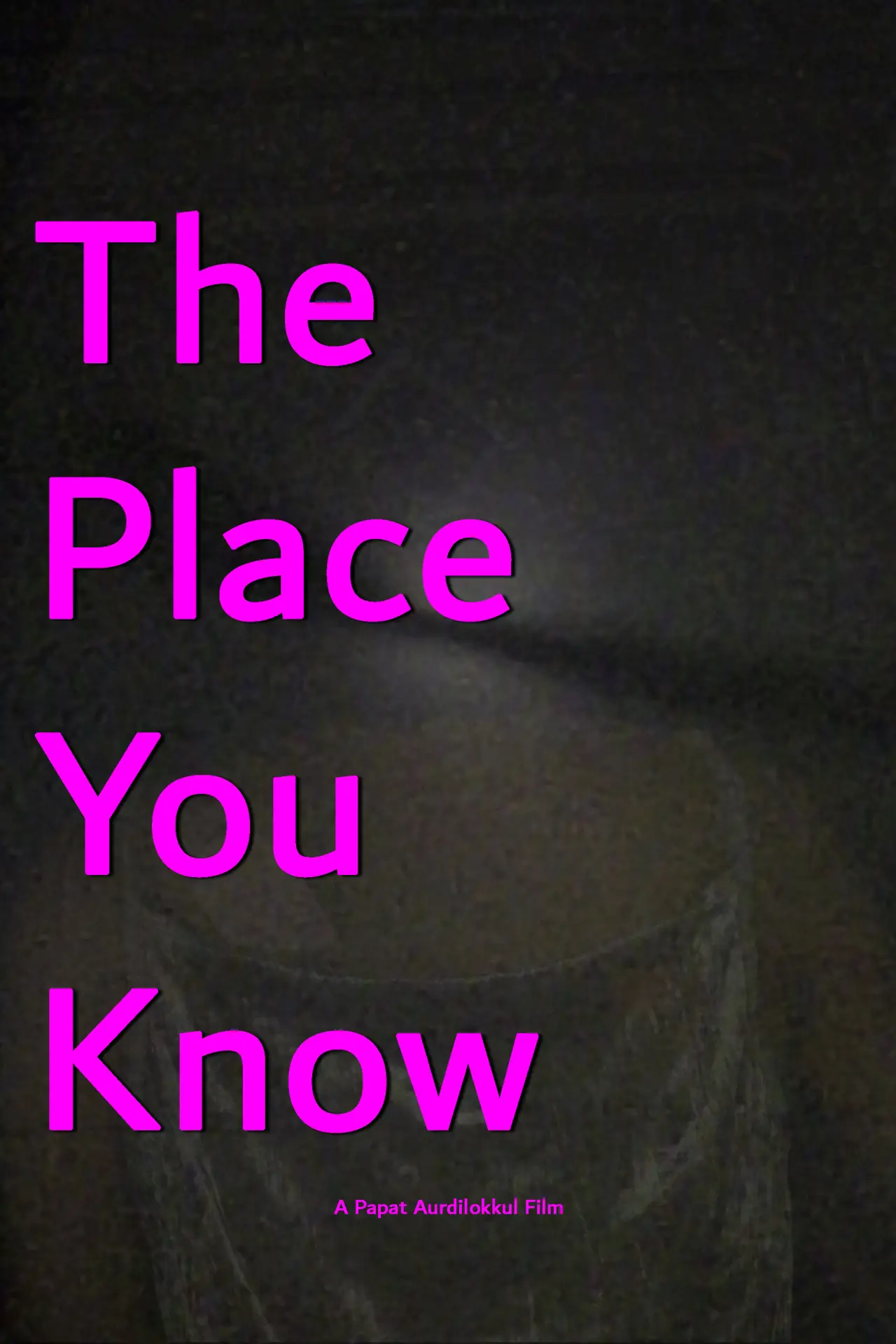 Постер к фильму "The Place You Know"