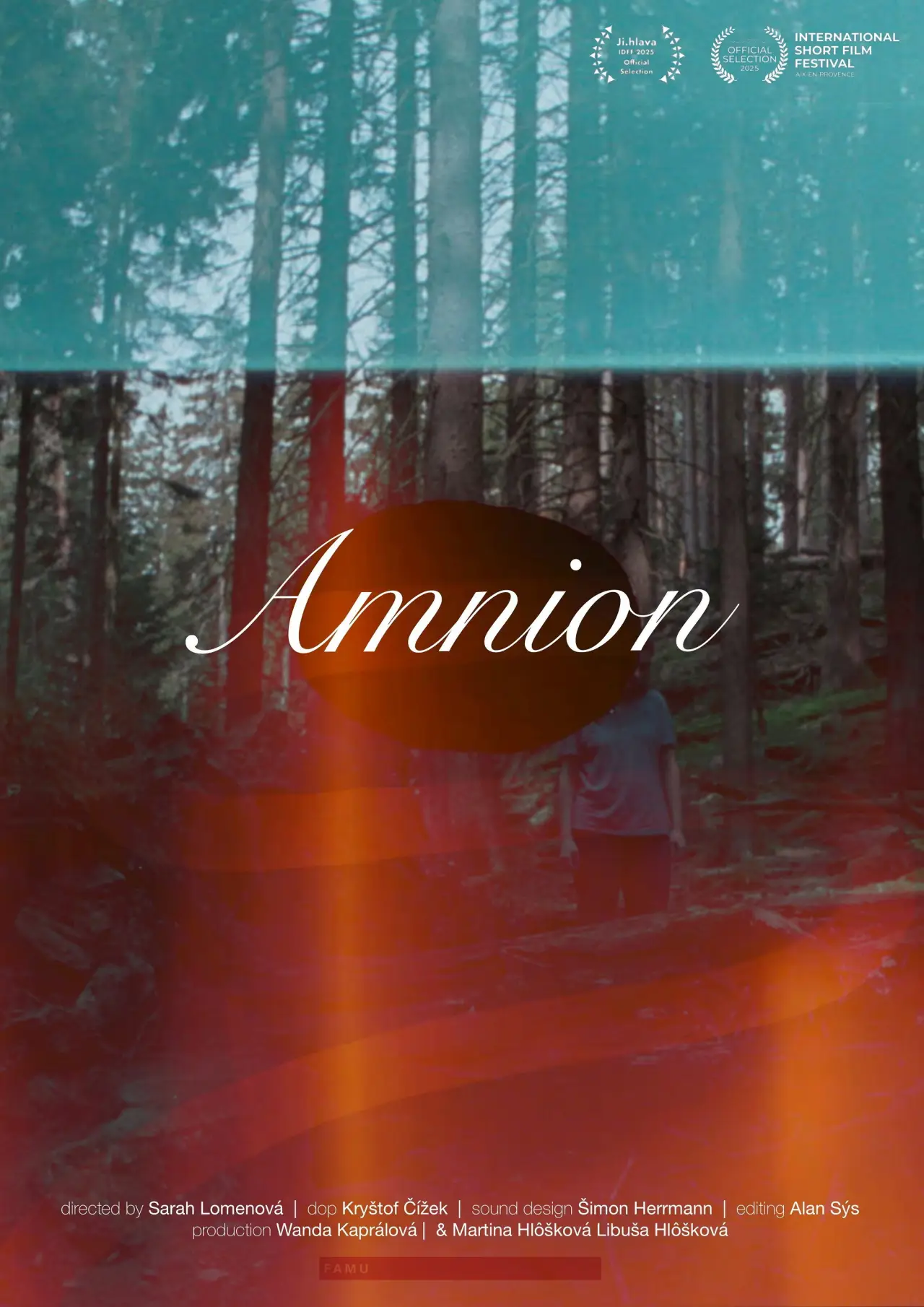 Постер к фильму "Amnion"
