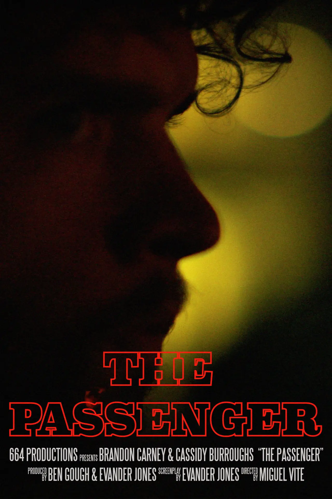 Постер к фильму "The Passenger"