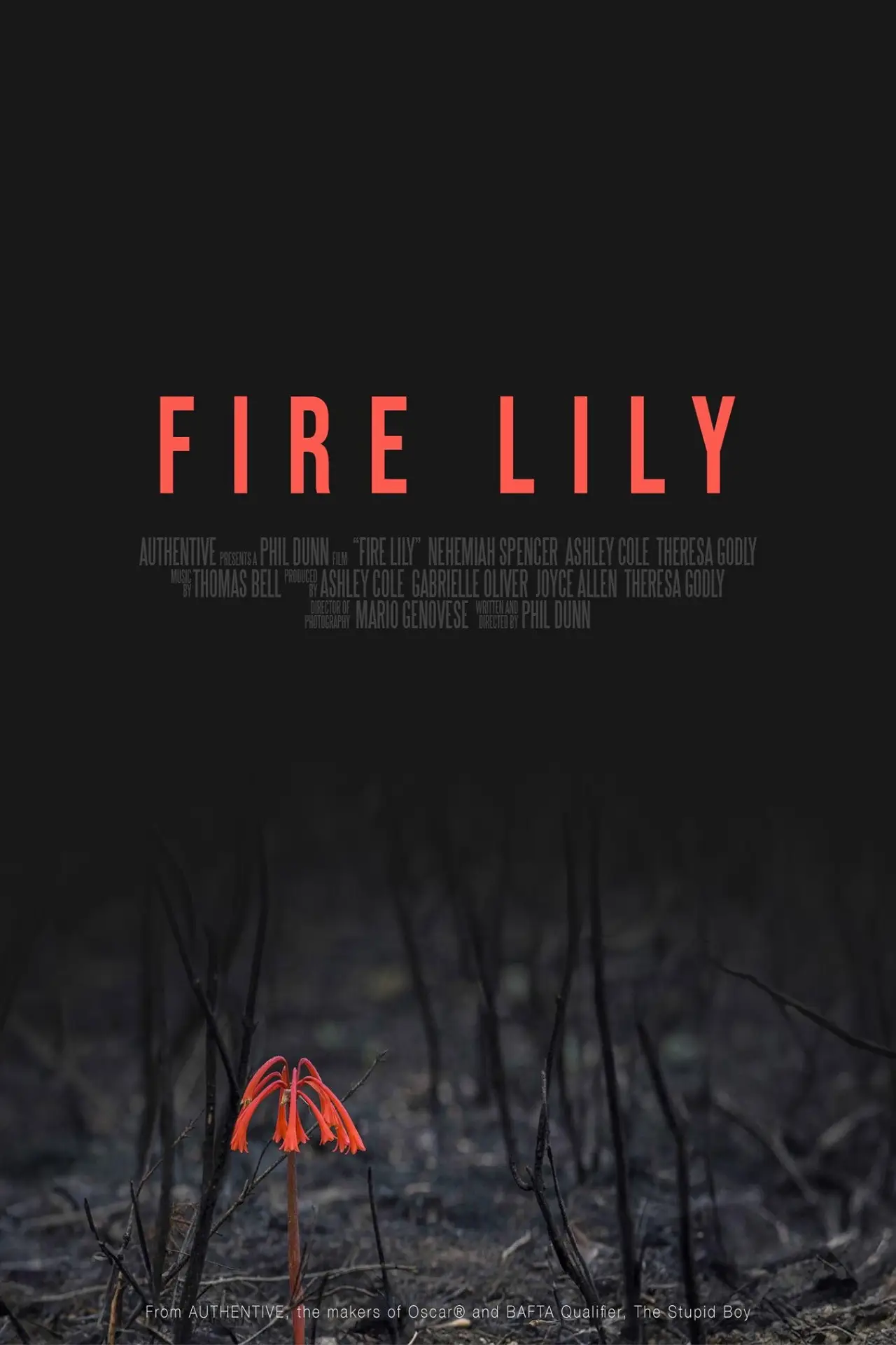 Постер к фильму "Fire Lily"