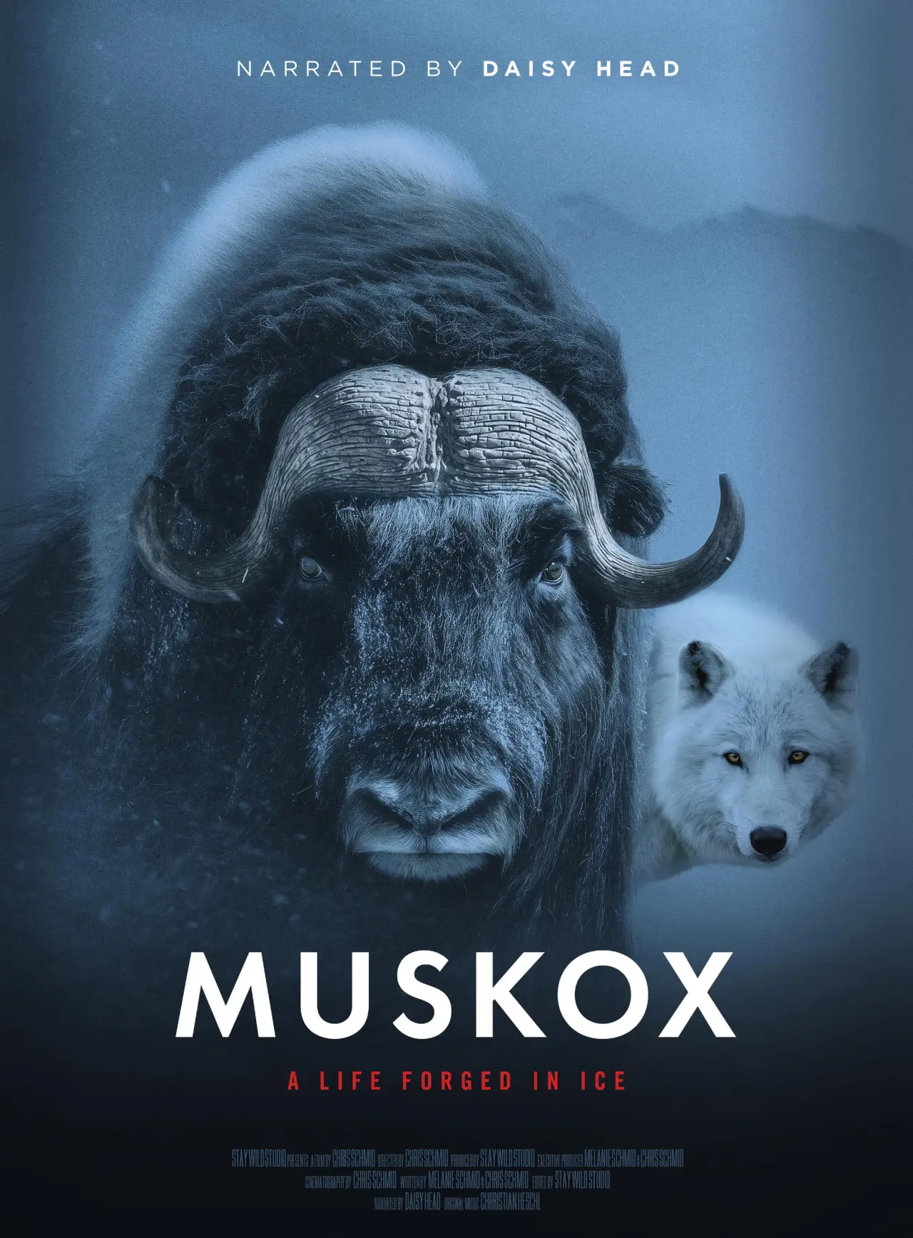 Постер к фильму "Muskox"