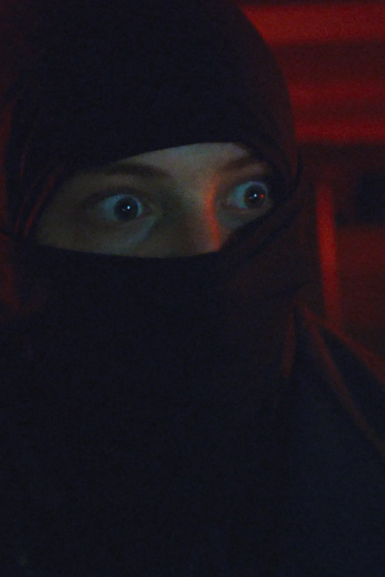 Постер к фильму "Faux Gun Bandit"