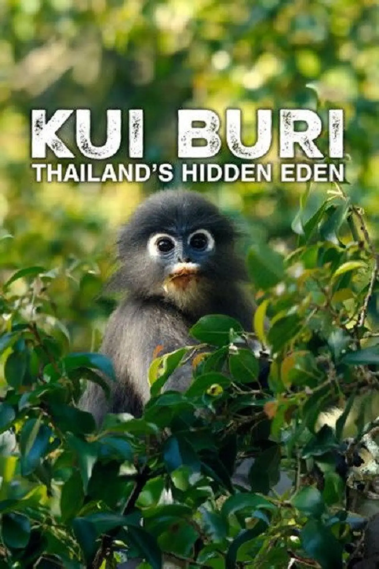 Постер к фильму "Kui Buri: Thailand