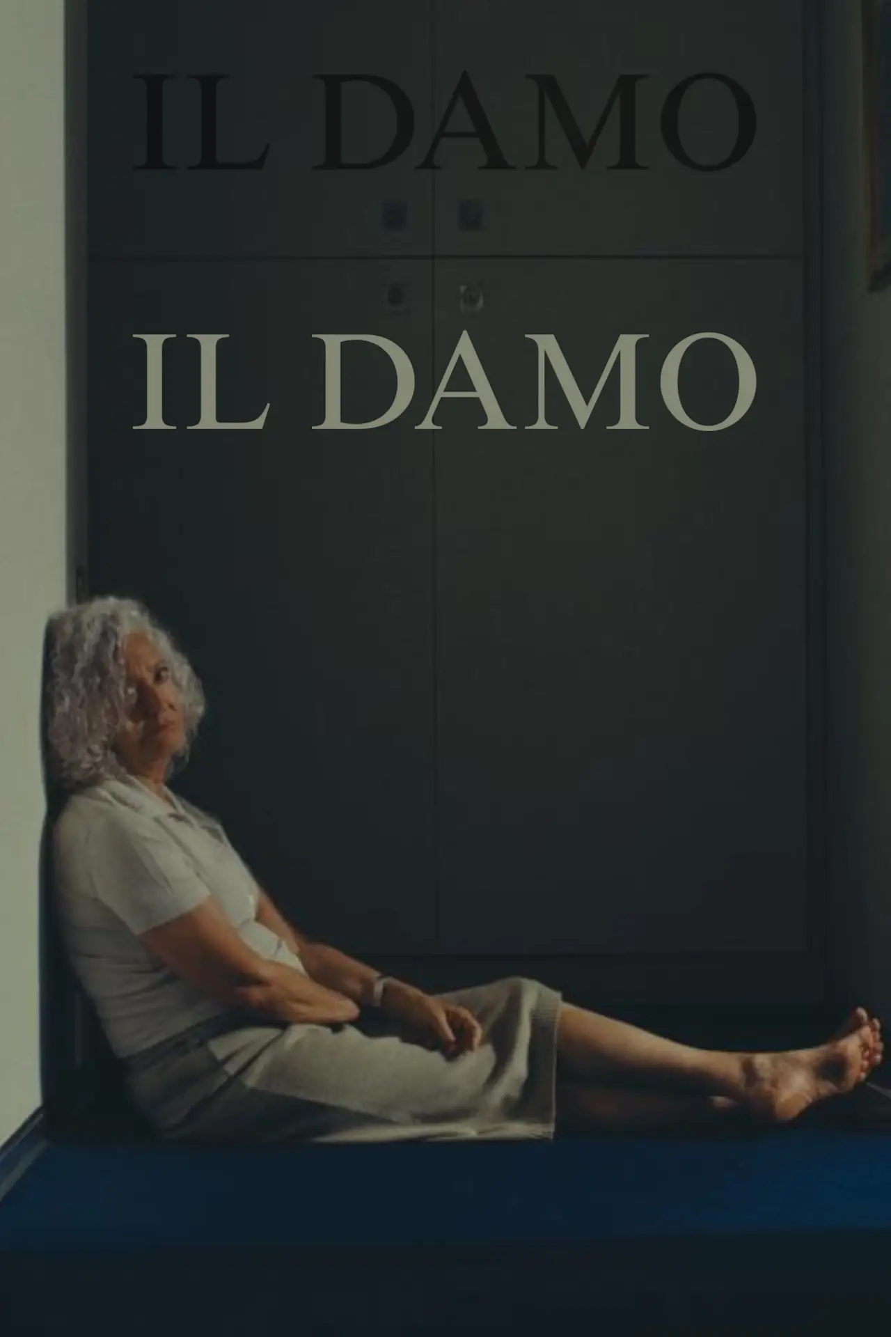 Постер к фильму "Il Damo"