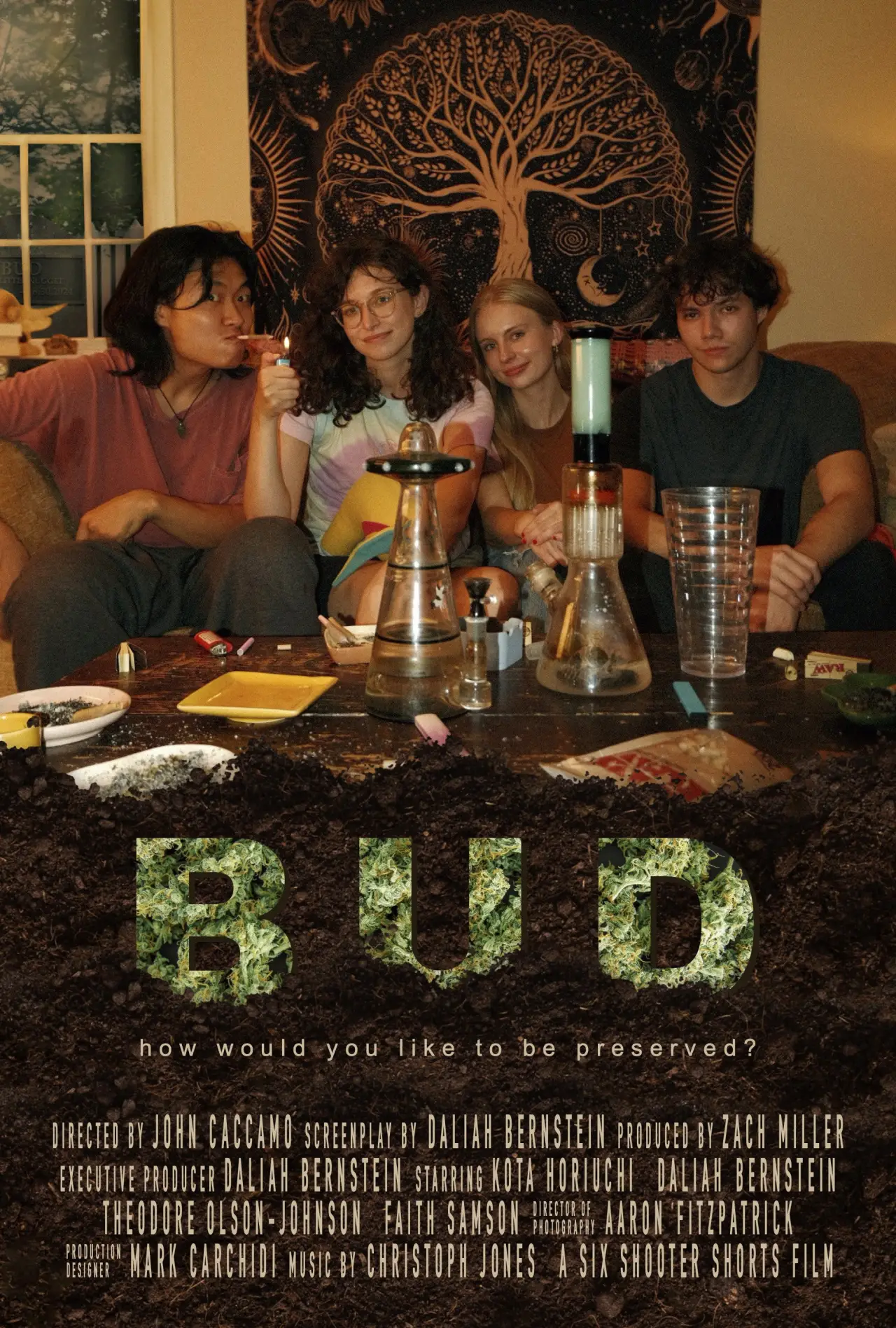 Постер к фильму "BUD"