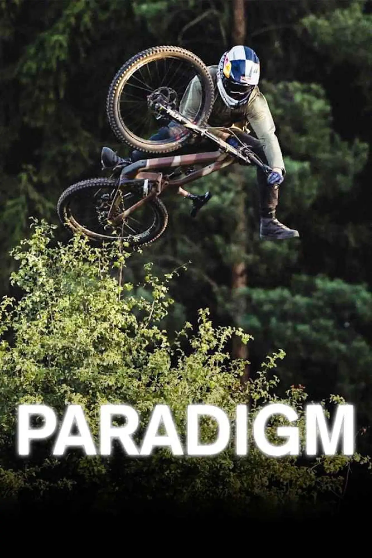 Постер к фильму "Paradigm"
