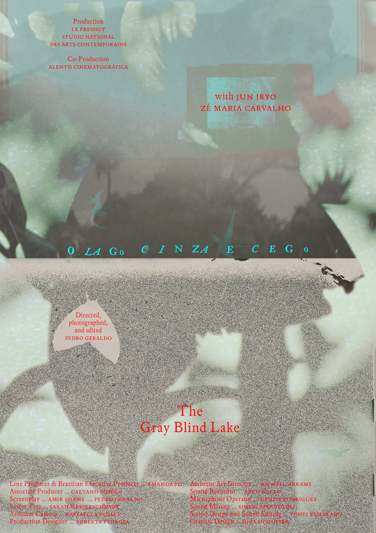 Постер к фильму "O lago cinza e cego"