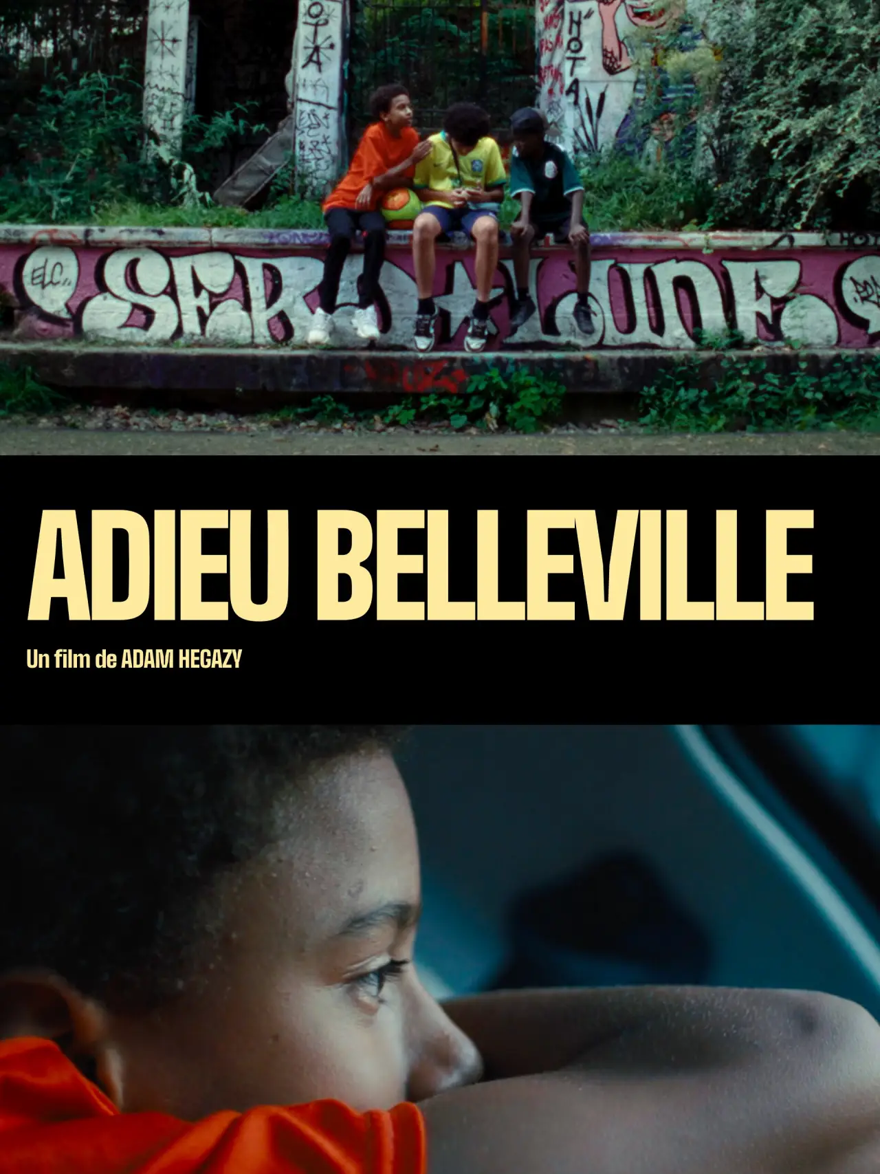 Постер к фильму "Adieu Belleville"