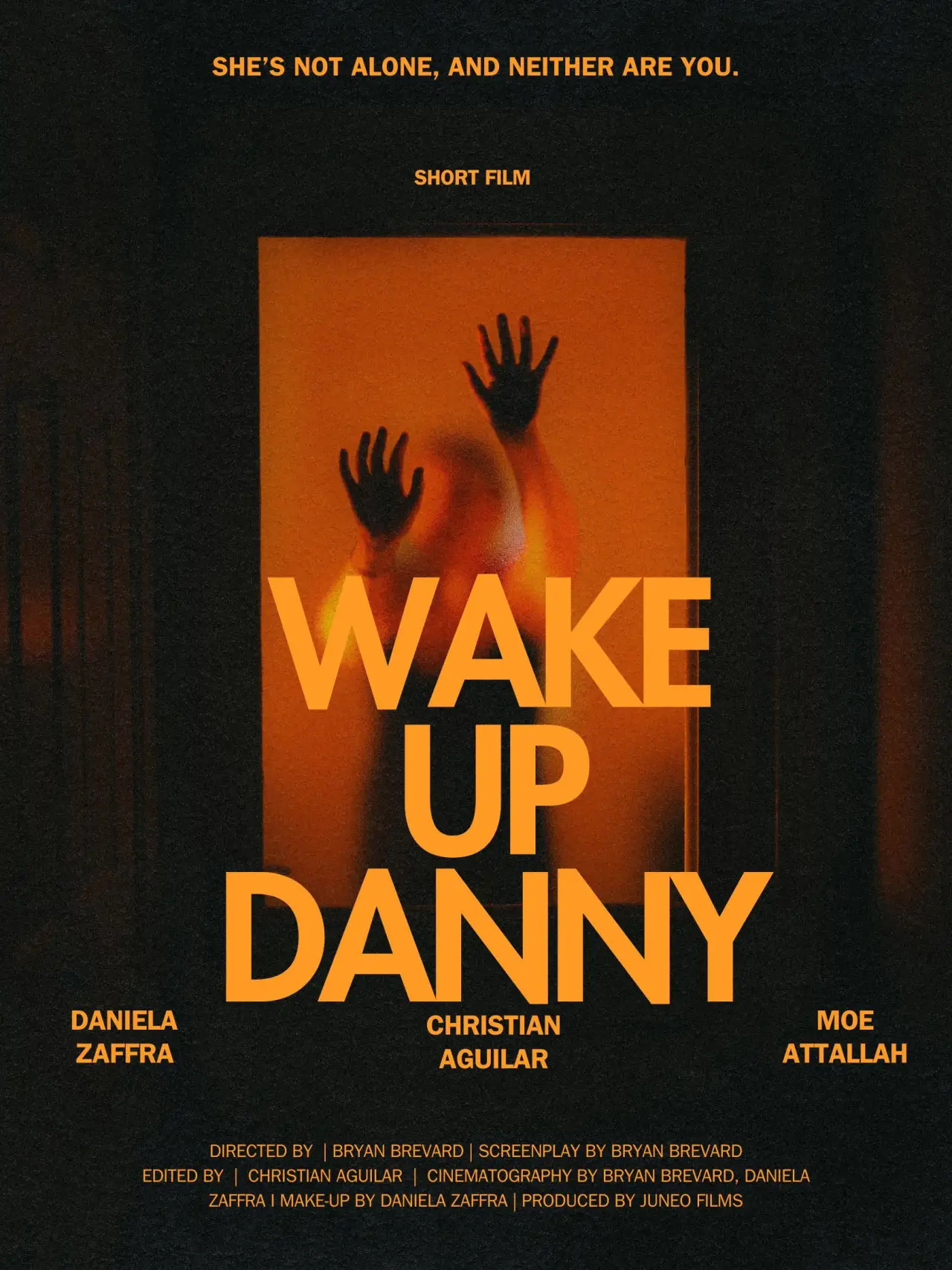 Постер к фильму "Wake Up Danny"