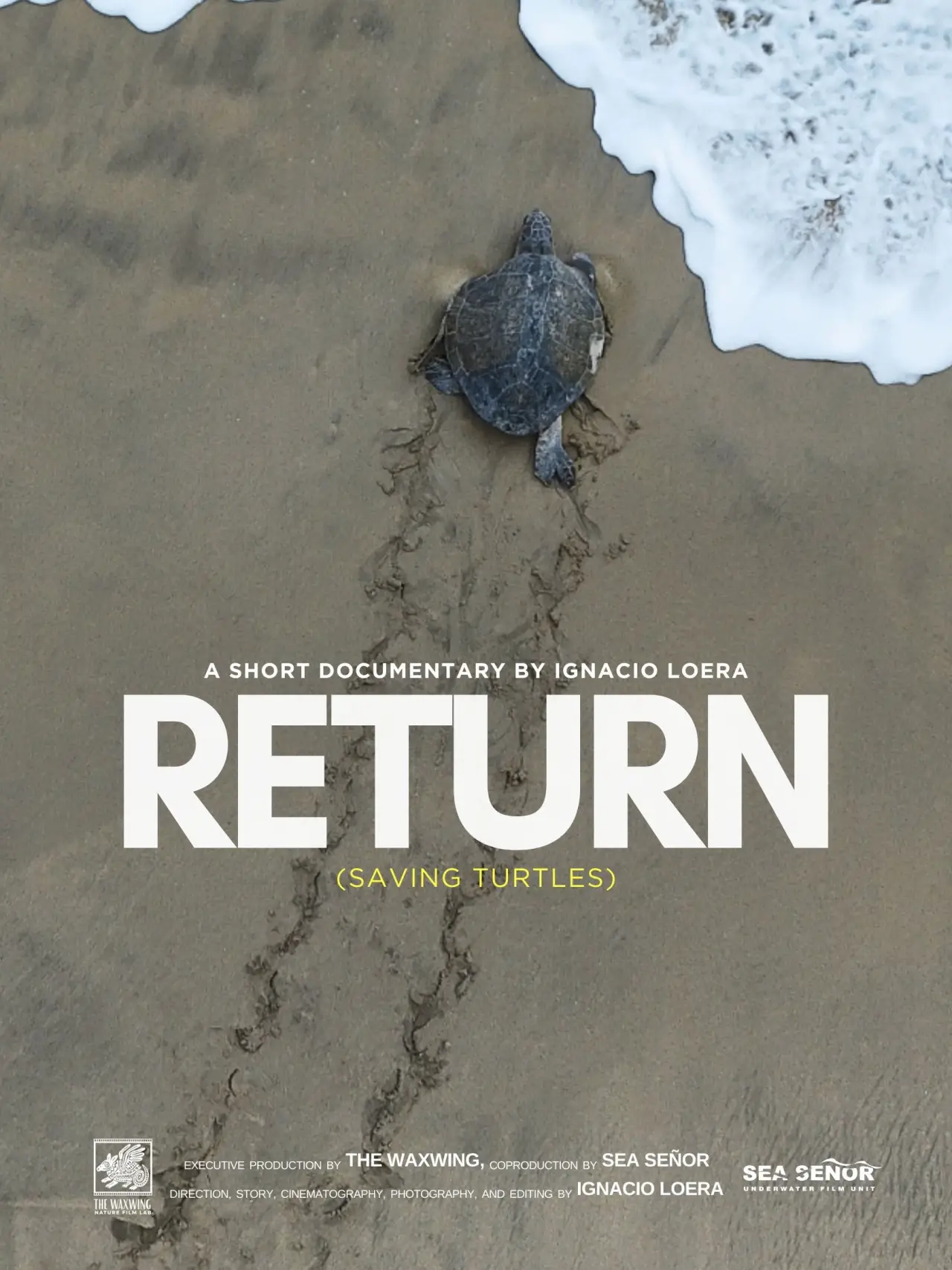 Постер к фильму "Return: Salvando a las Tortugas"