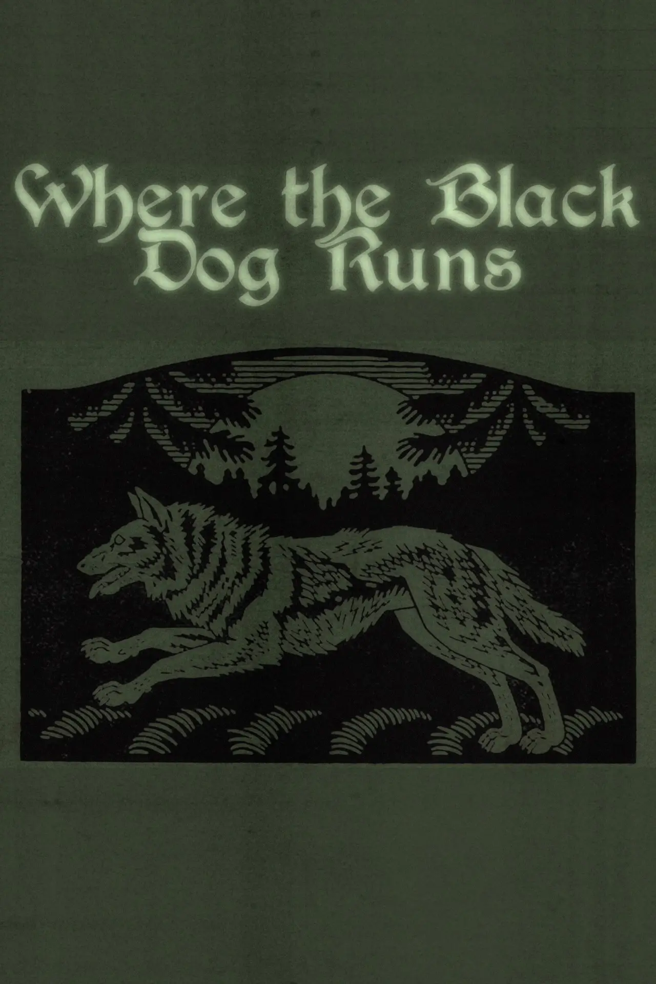 Постер к фильму "Where the Black Dog Runs"