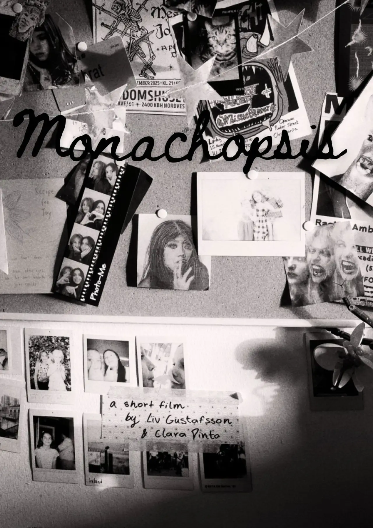 Постер к фильму "Monachopsis"