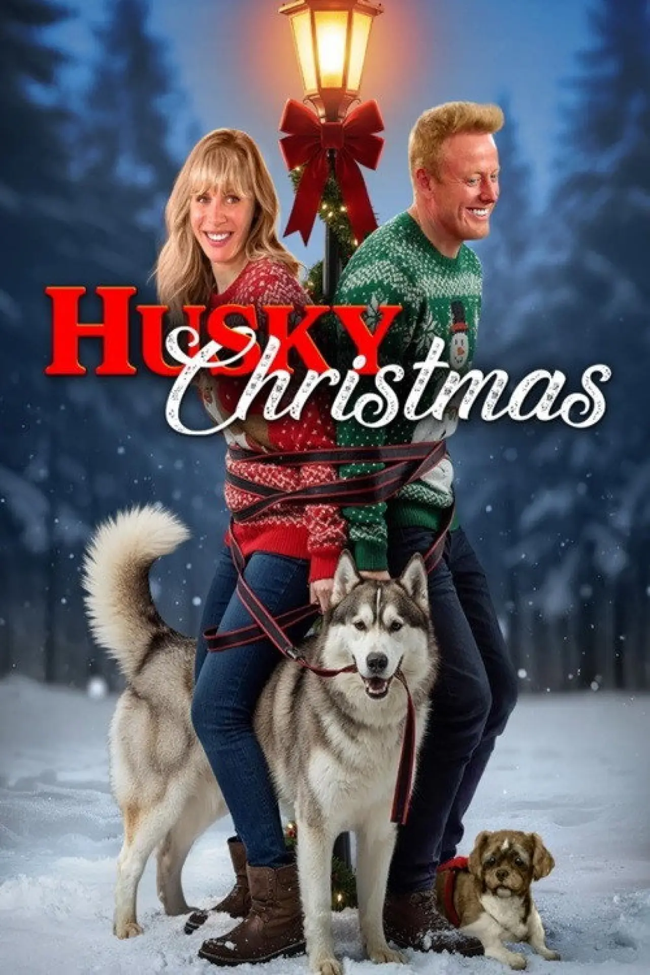 Постер к фильму "Husky Christmas"