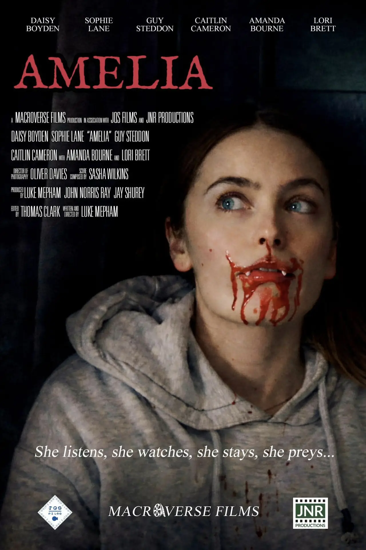 Постер к фильму "Amelia"