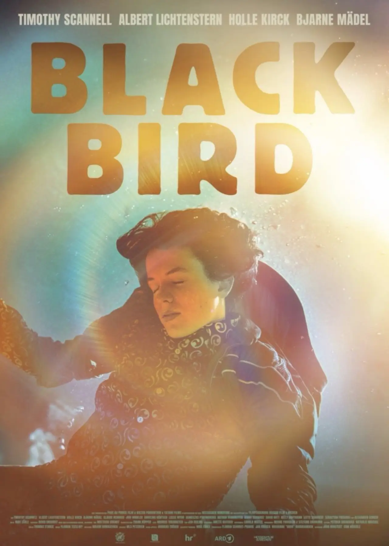 Постер к фильму "Blackbird"